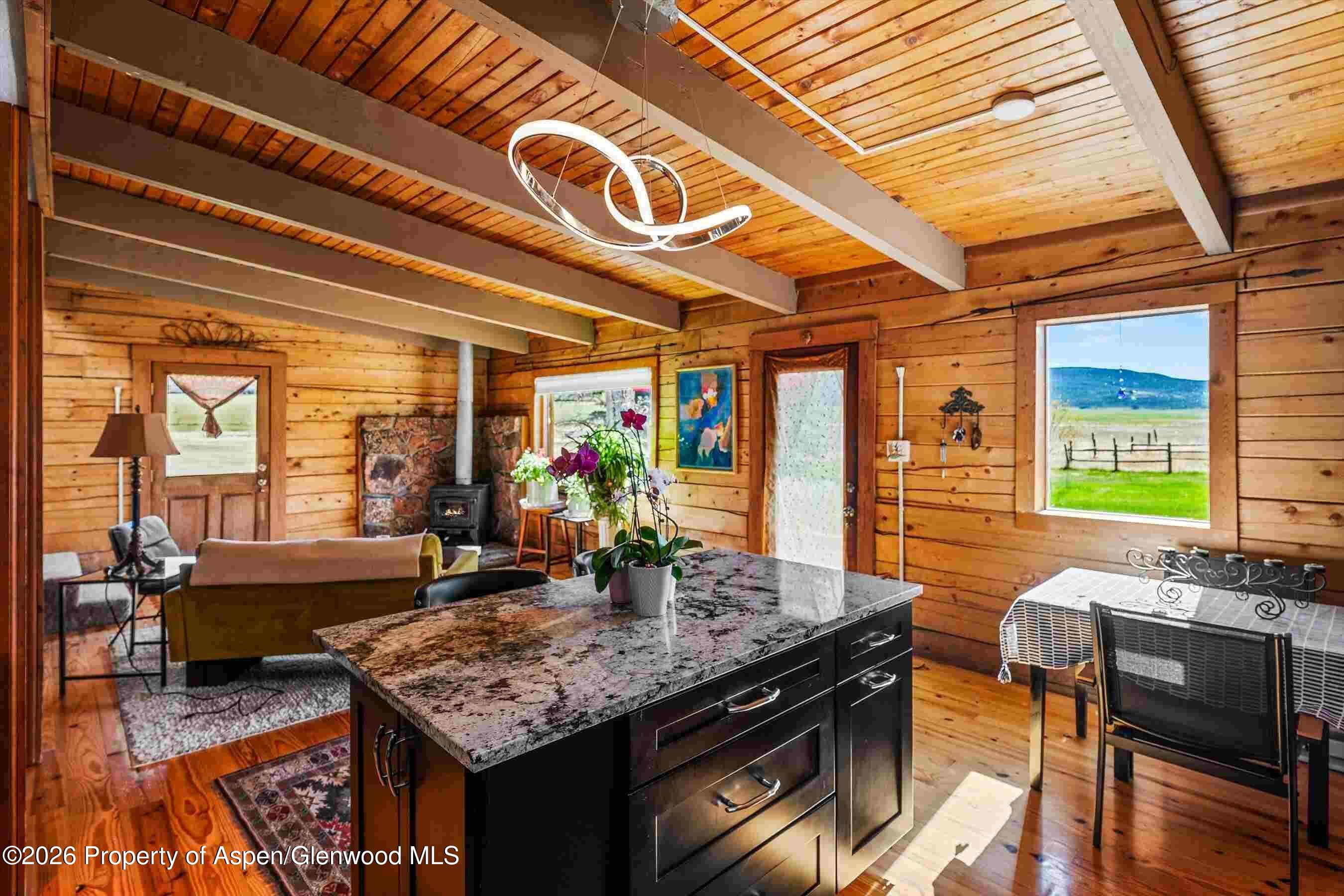 1150 County Road 119, Glenwood Springs, CO 81601 - Photo 9