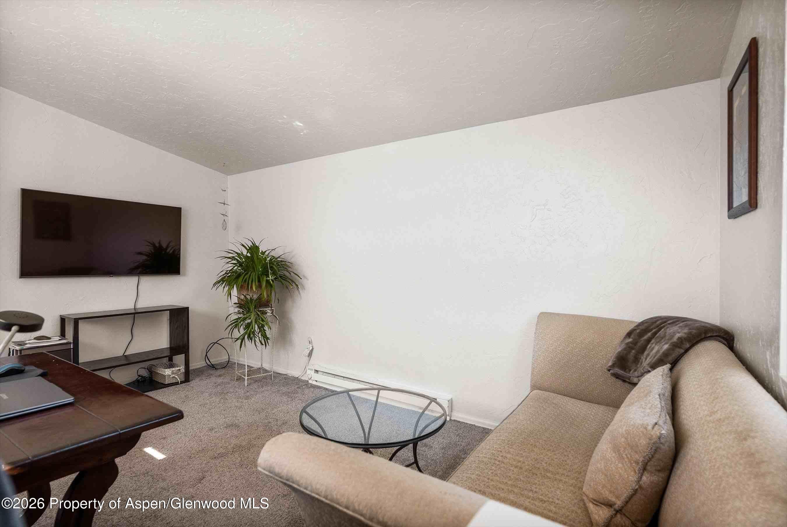 1150 County Road 119, Glenwood Springs, CO 81601 - Photo 16