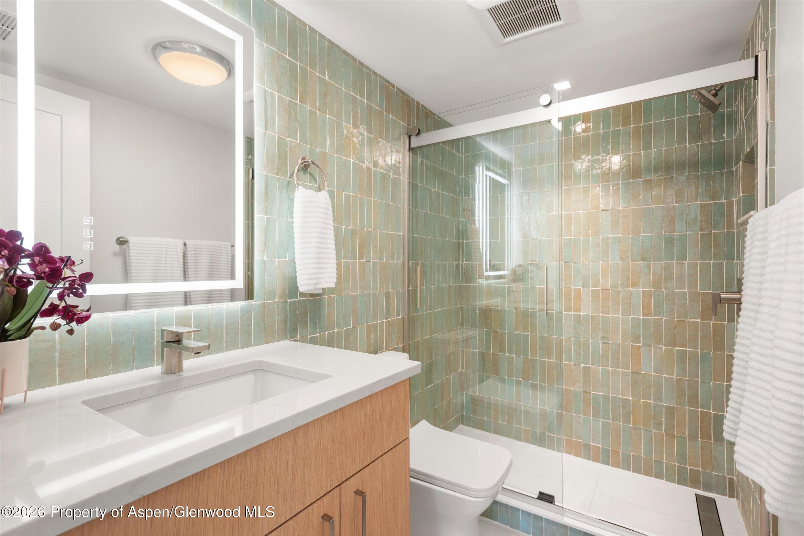 86 Roaring Fork Avenue A-2, Carbondale, CO 81623 - Photo 10