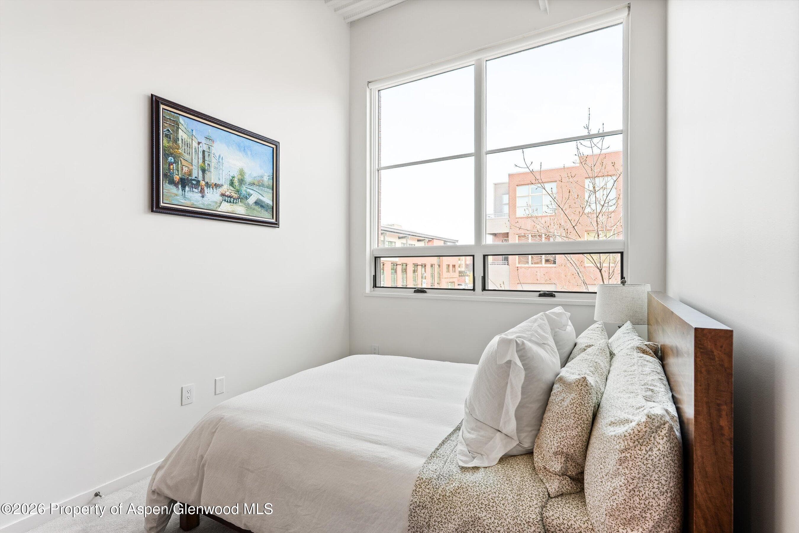 361 Robinson Street 208, Basalt, CO 81621 - Photo 8