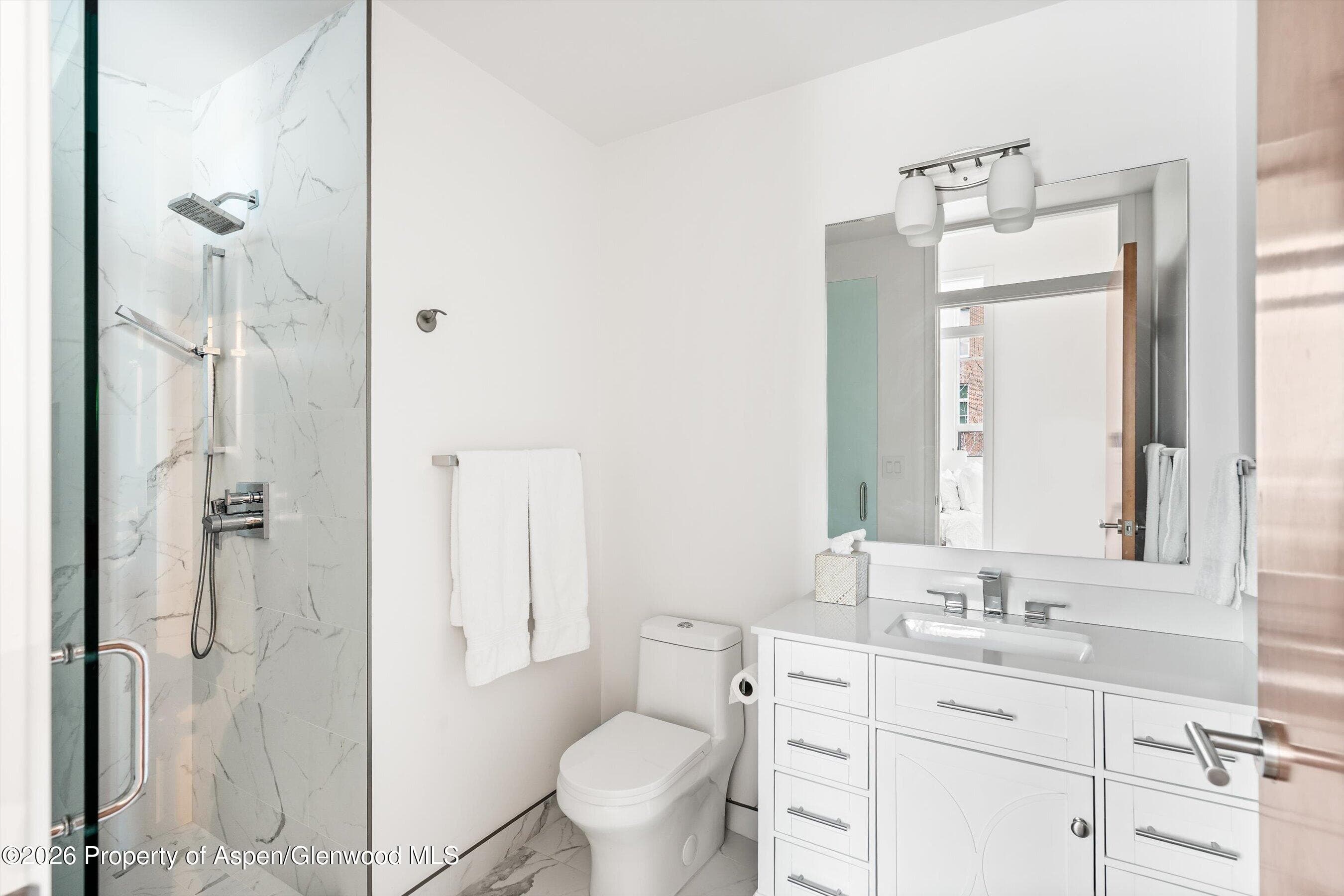 361 Robinson Street 208, Basalt, CO 81621 - Photo 9