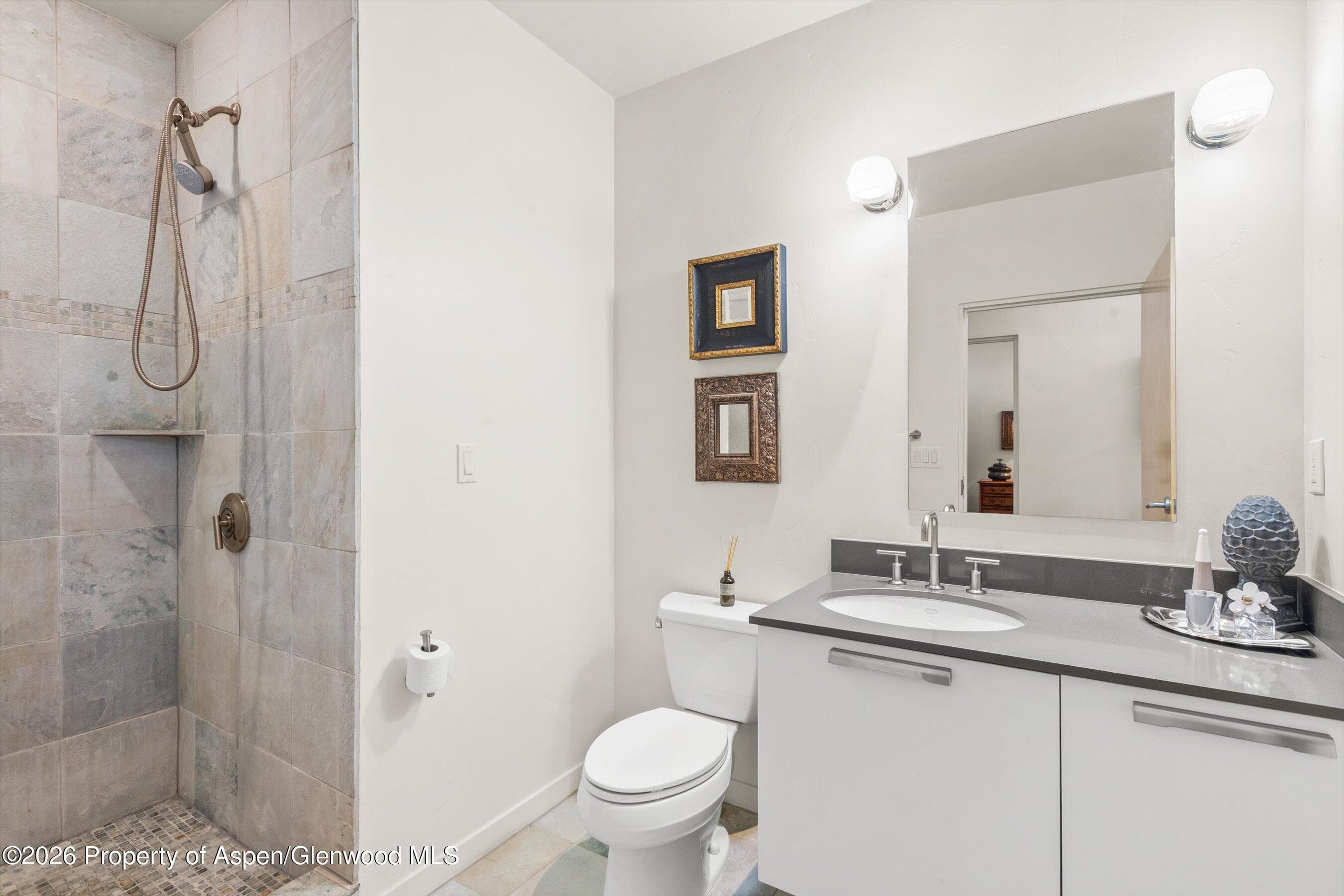 231 Robinson Street 318, Basalt, CO 81621 - Photo 12