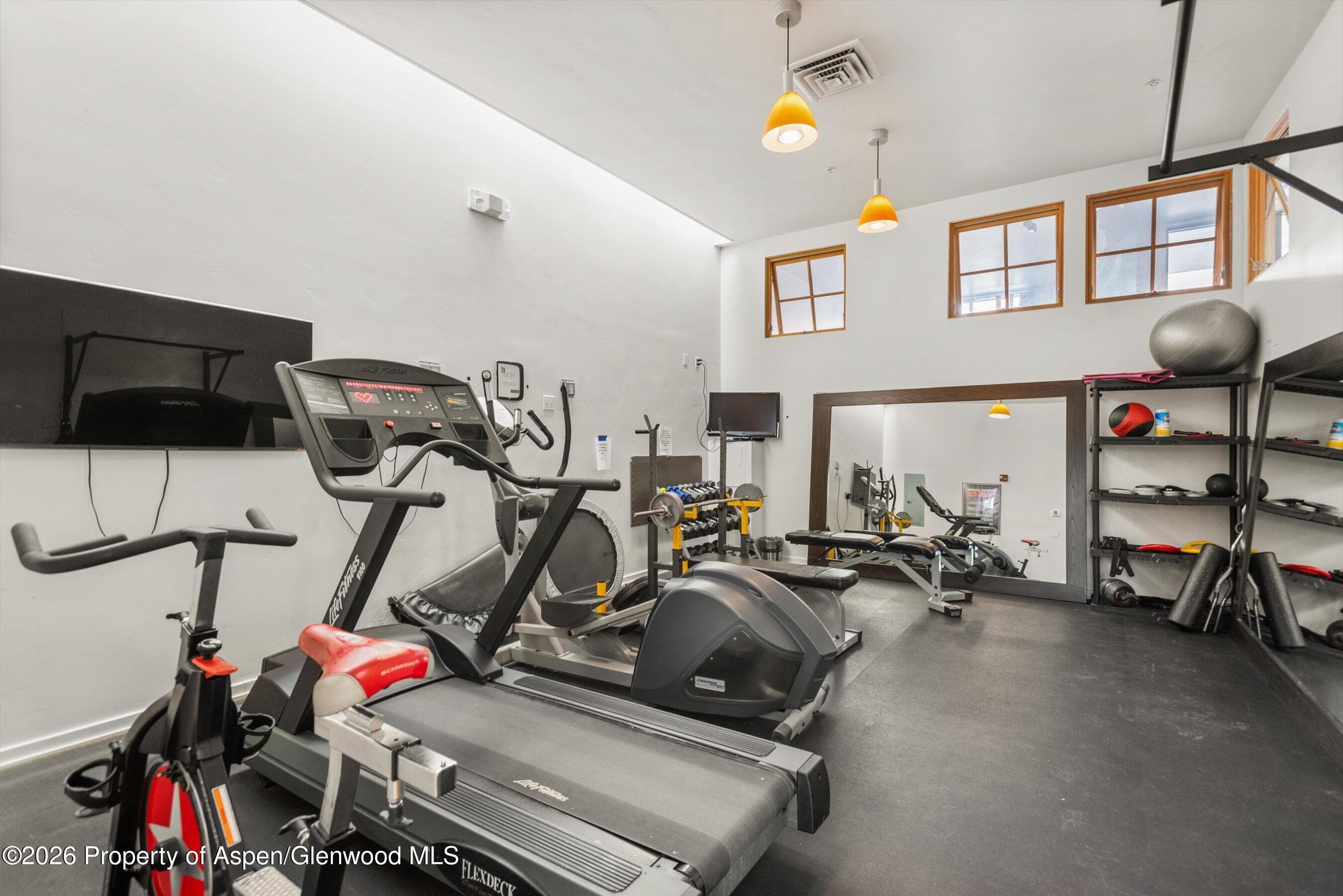231 Robinson Street 318, Basalt, CO 81621 - Photo 15