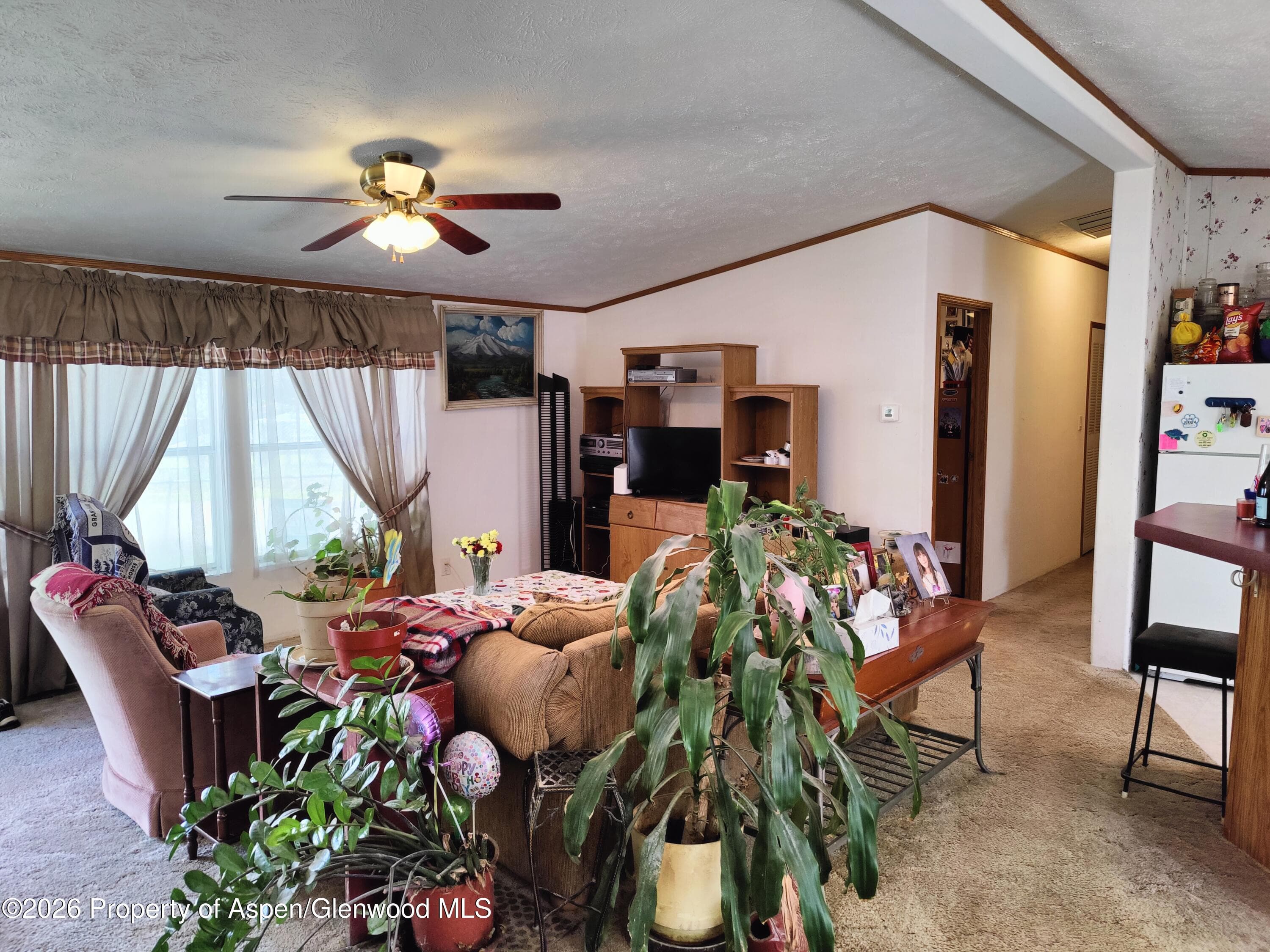 5387 County Rd 154 Trailer # 4, Glenwood Springs, CO 81601 - Photo 11