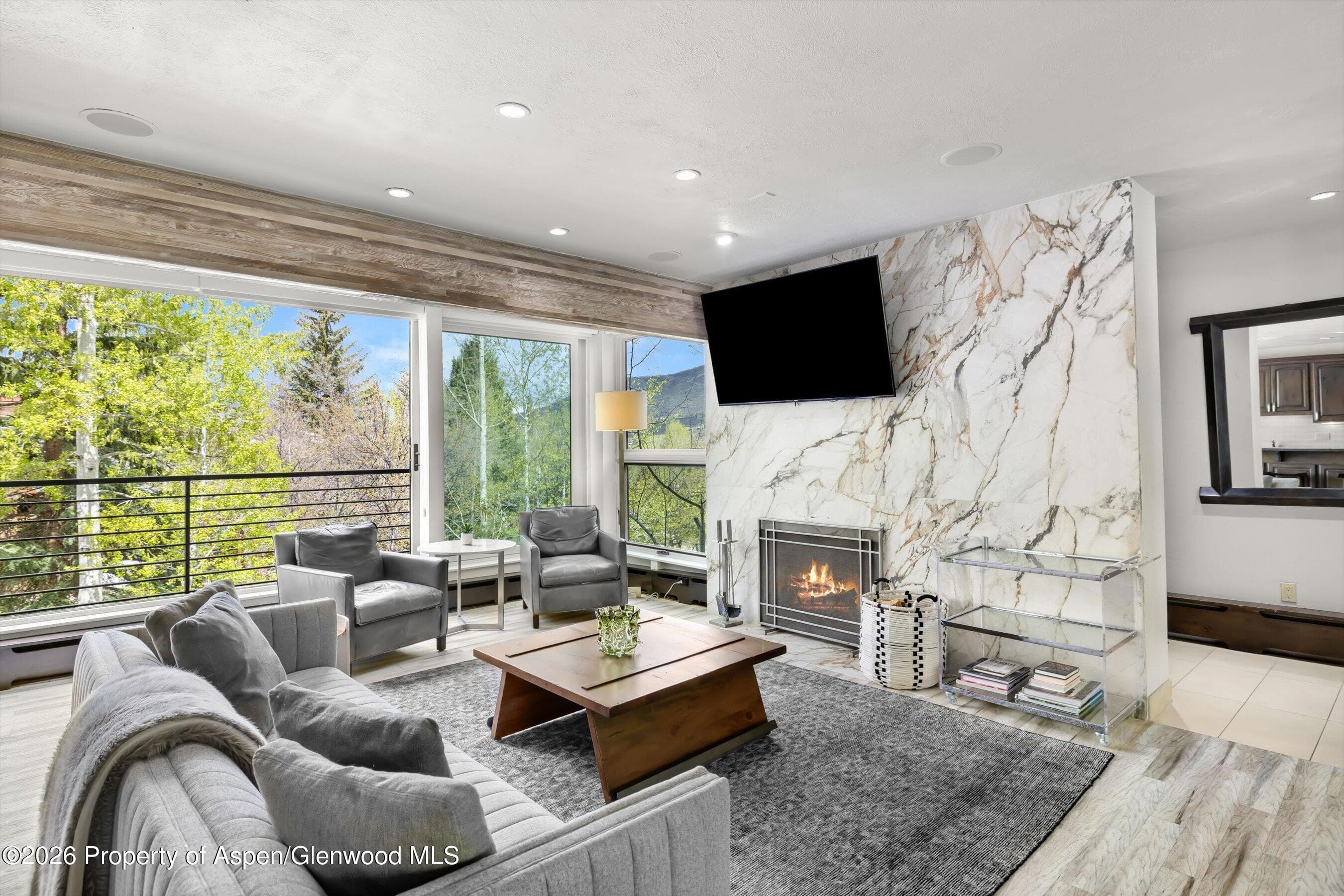 738 S Galena Street 1-C, Aspen, CO 81611
