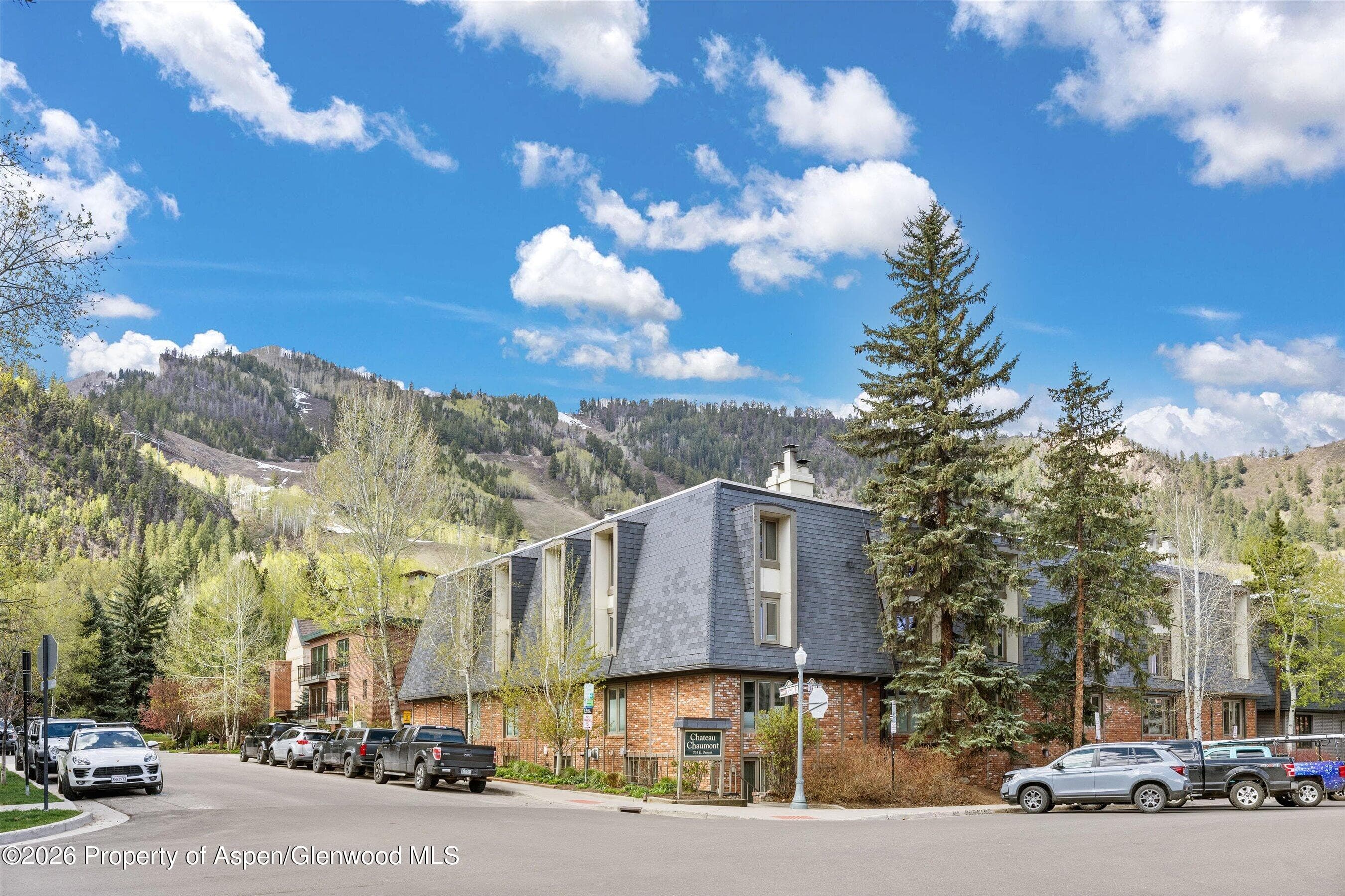 731 E Durant Avenue 10, Aspen, CO 81611 - Photo 2