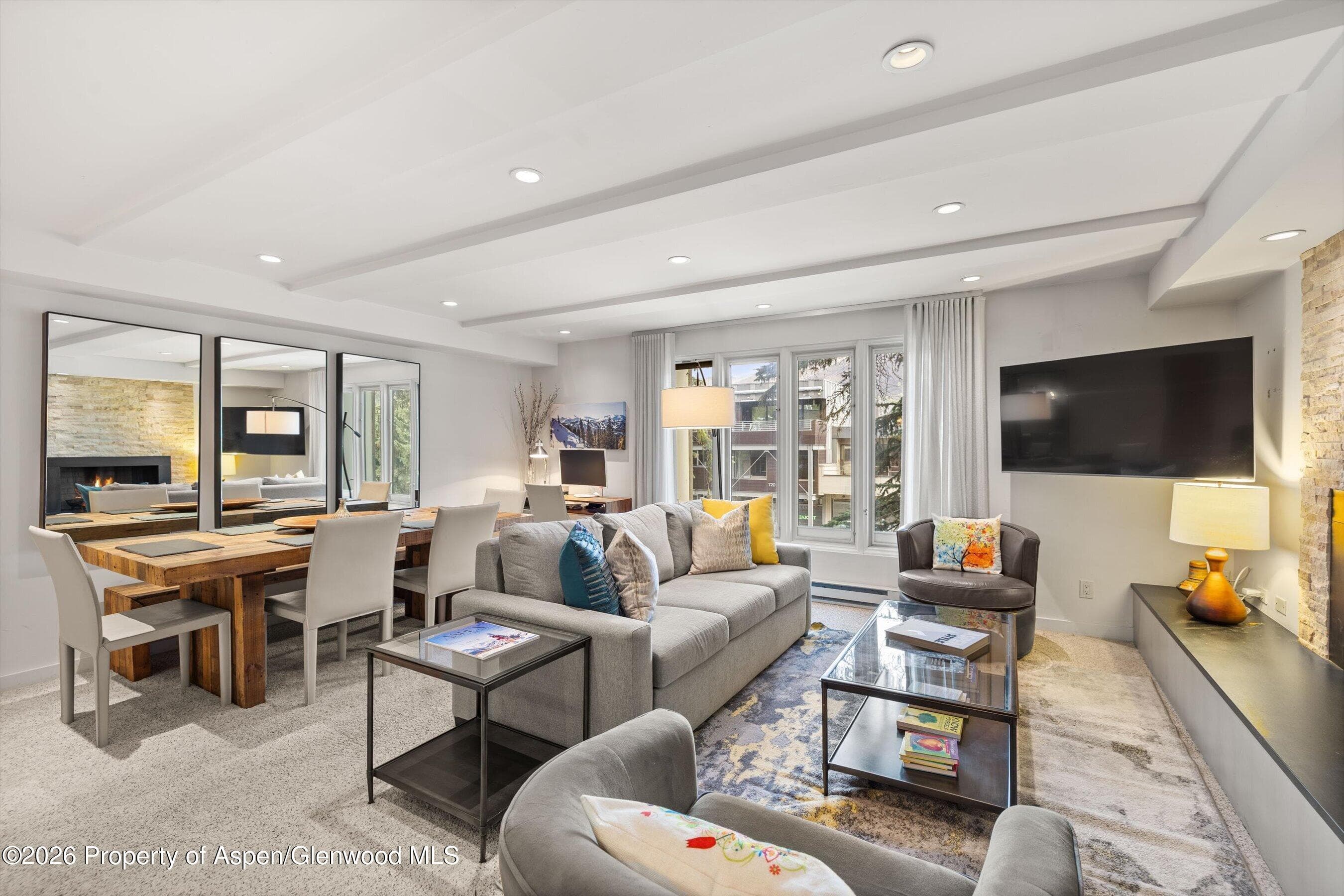 731 E Durant Avenue 10, Aspen, CO 81611 - Photo 4
