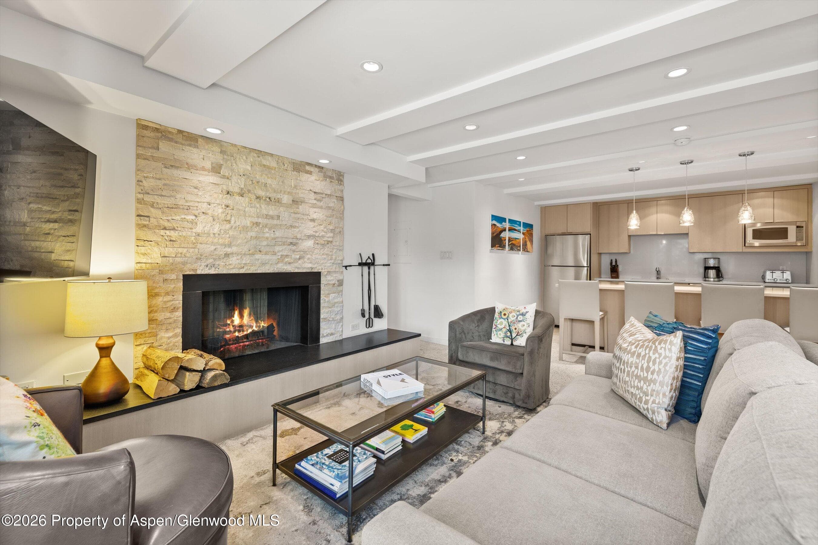 731 E Durant Avenue 10, Aspen, CO 81611 - Photo 5