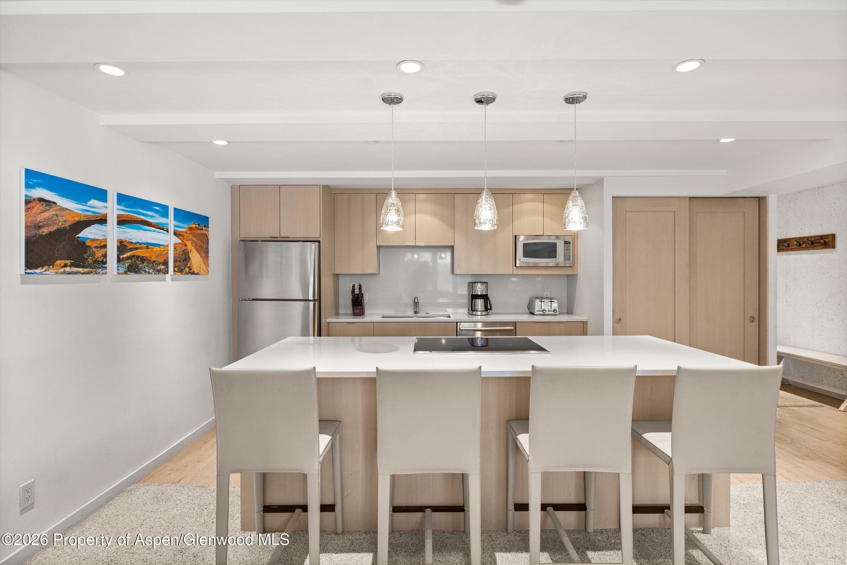 731 E Durant Avenue 10, Aspen, CO 81611 - Photo 7