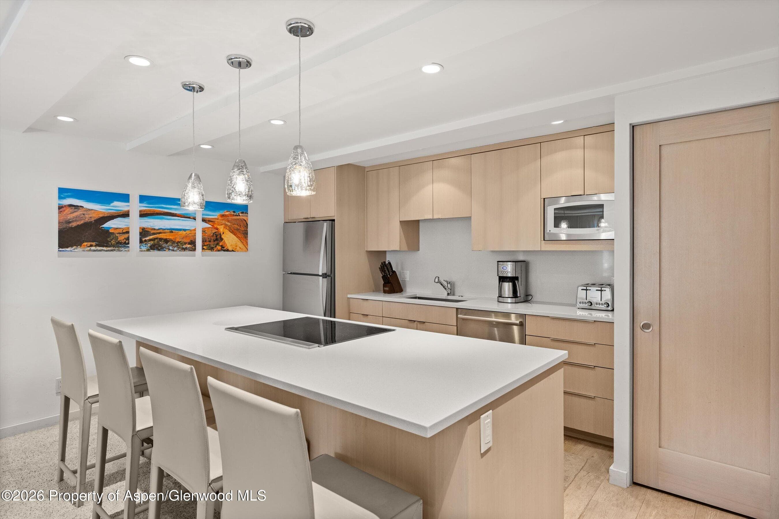 731 E Durant Avenue 10, Aspen, CO 81611 - Photo 8