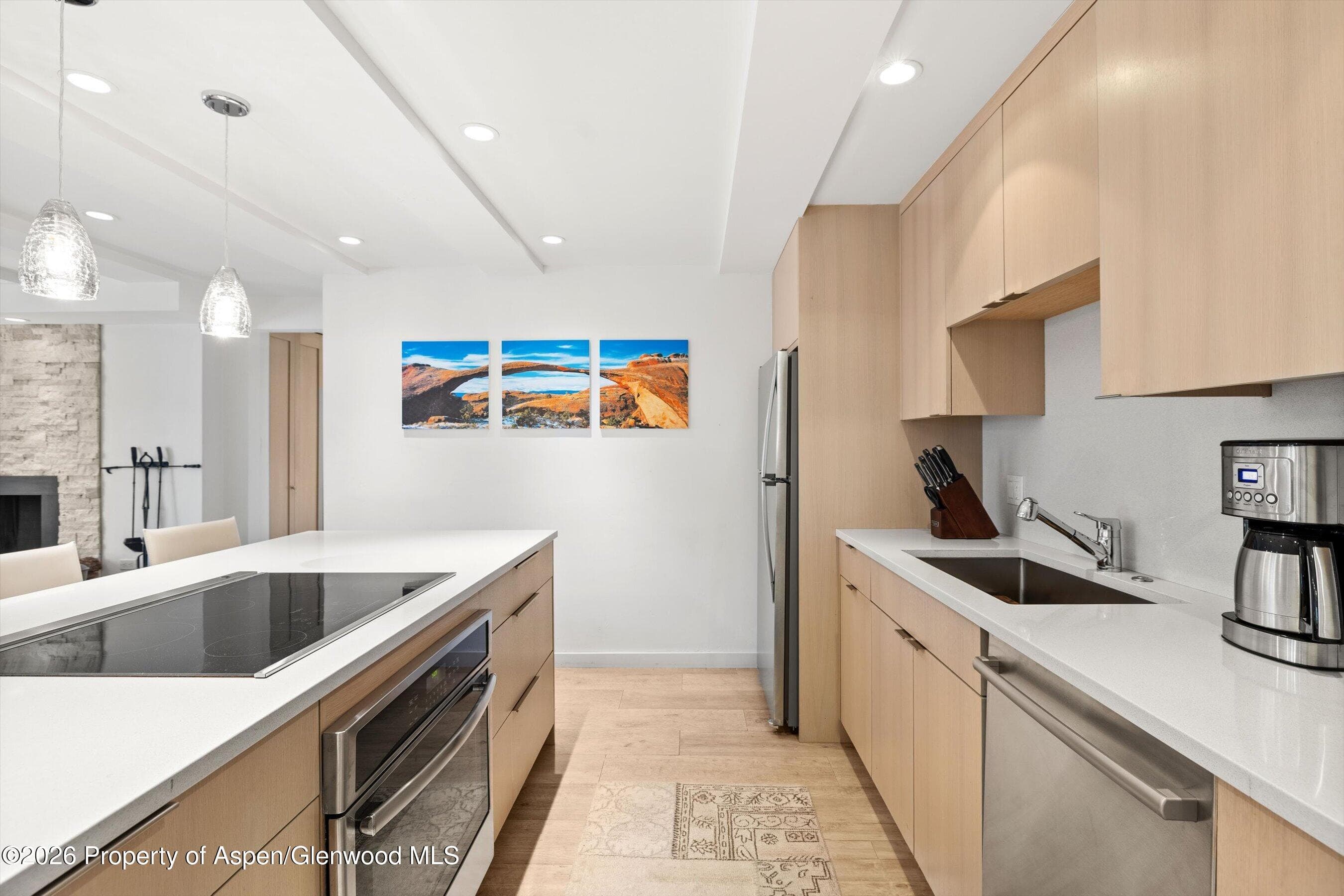 731 E Durant Avenue 10, Aspen, CO 81611 - Photo 9