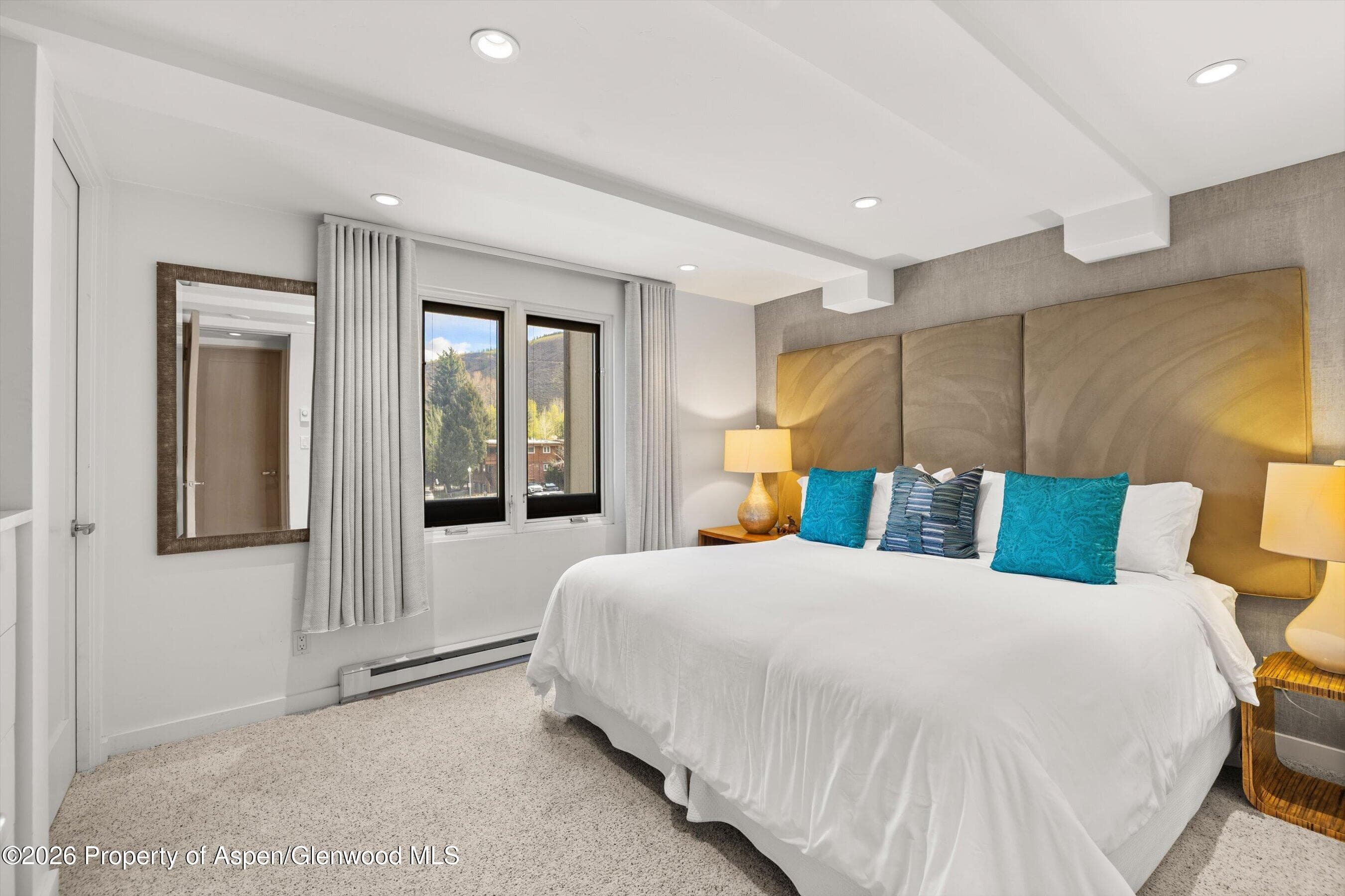 731 E Durant Avenue 10, Aspen, CO 81611 - Photo 11