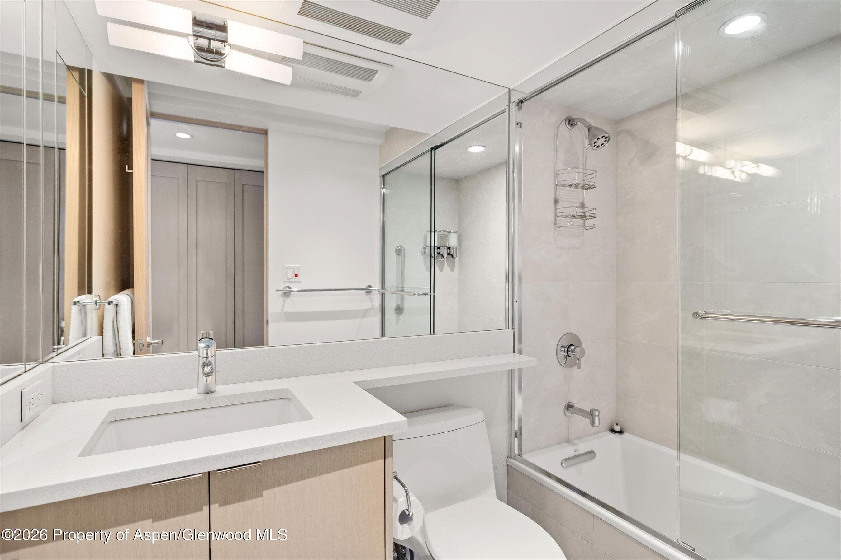 731 E Durant Avenue 10, Aspen, CO 81611 - Photo 12