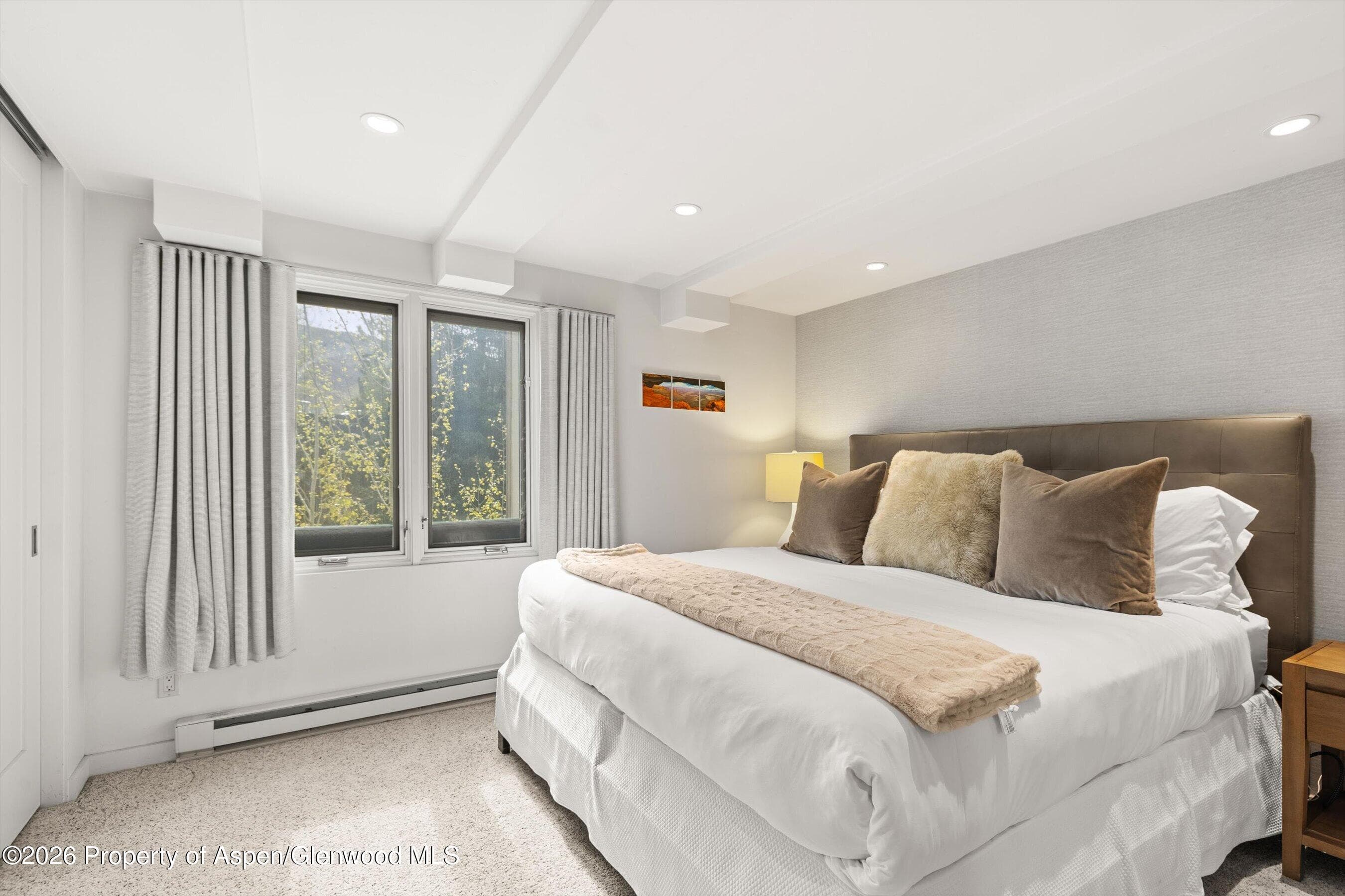 731 E Durant Avenue 10, Aspen, CO 81611 - Photo 13