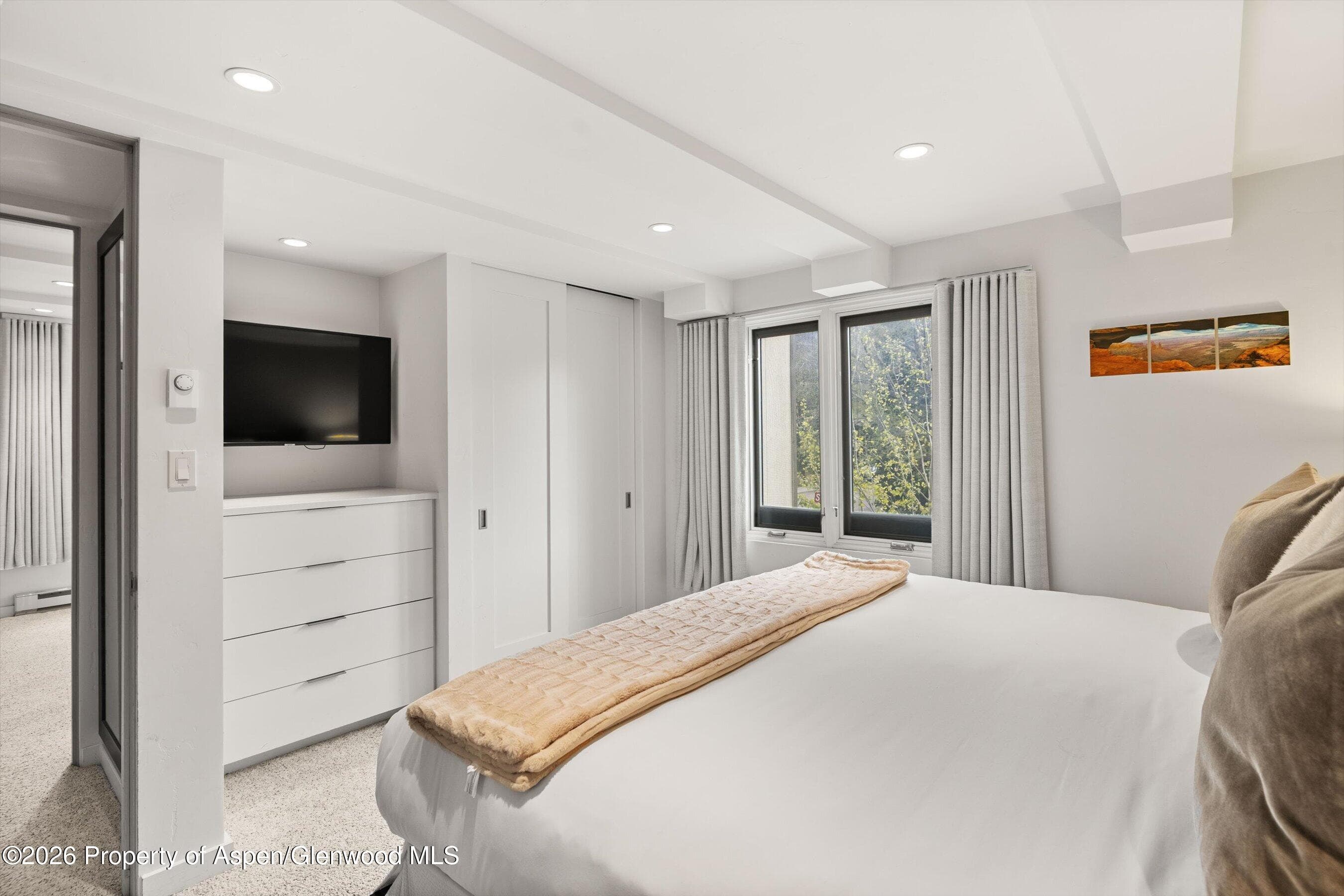 731 E Durant Avenue 10, Aspen, CO 81611 - Photo 14