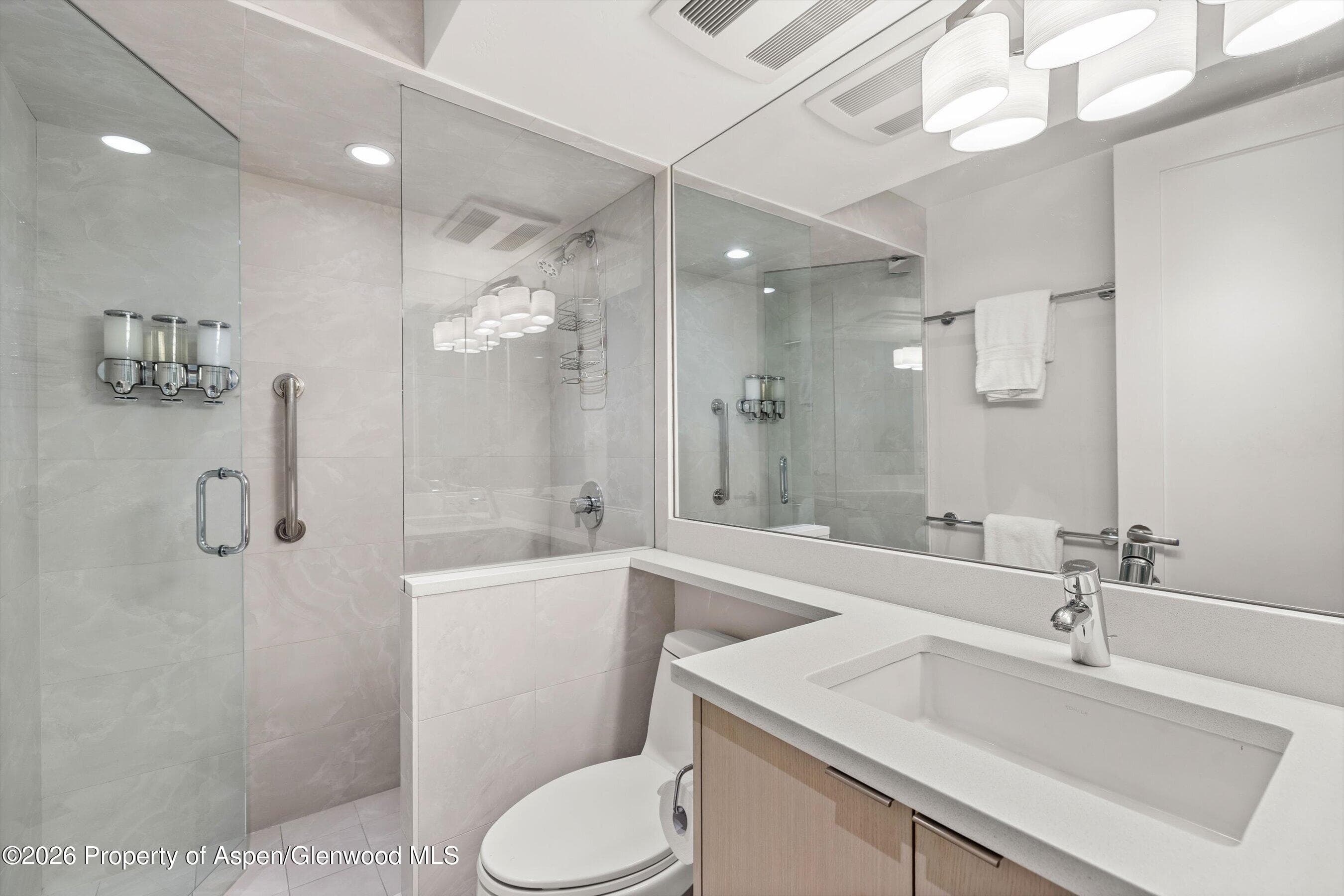 731 E Durant Avenue 10, Aspen, CO 81611 - Photo 15