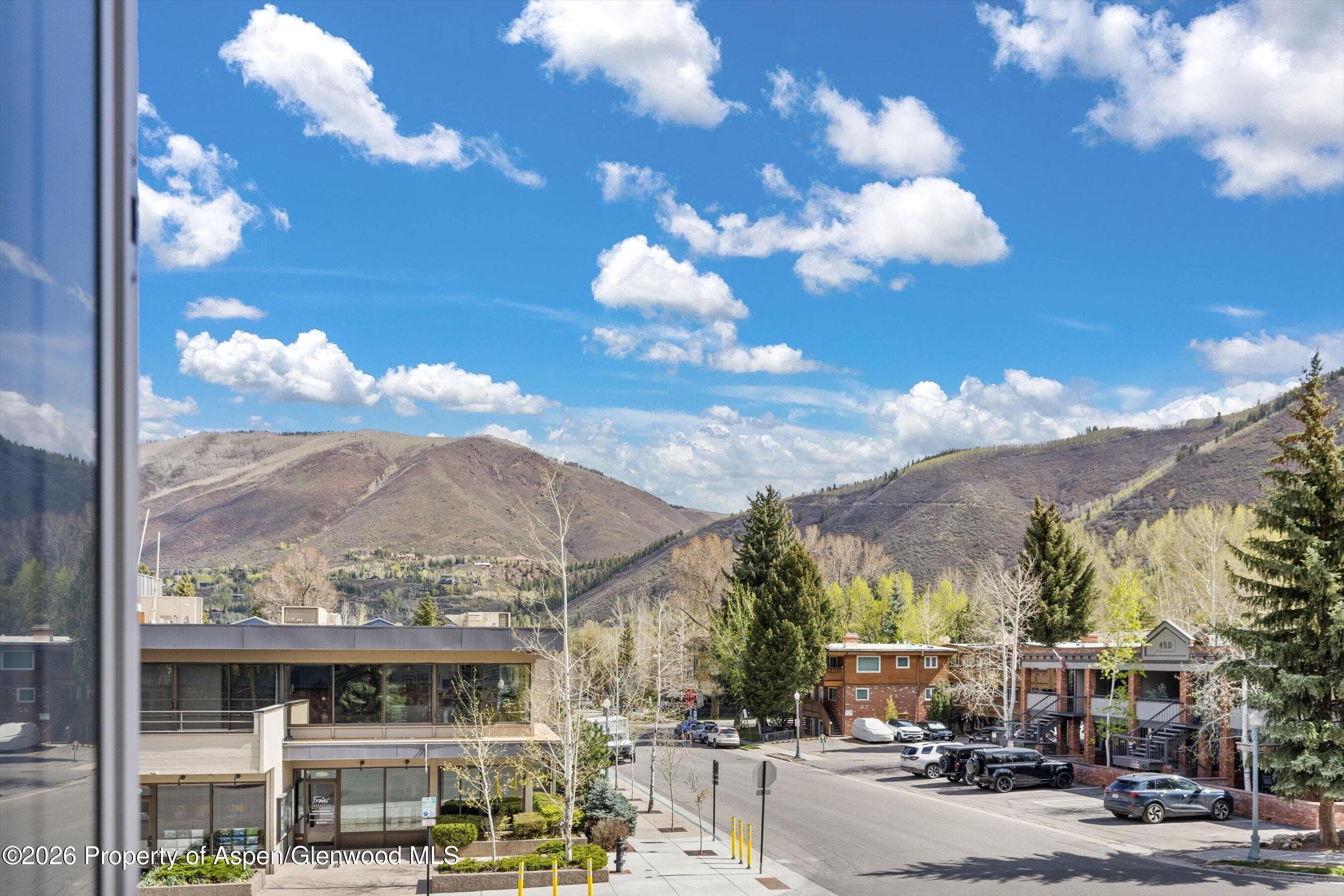 731 E Durant Avenue 10, Aspen, CO 81611 - Photo 16