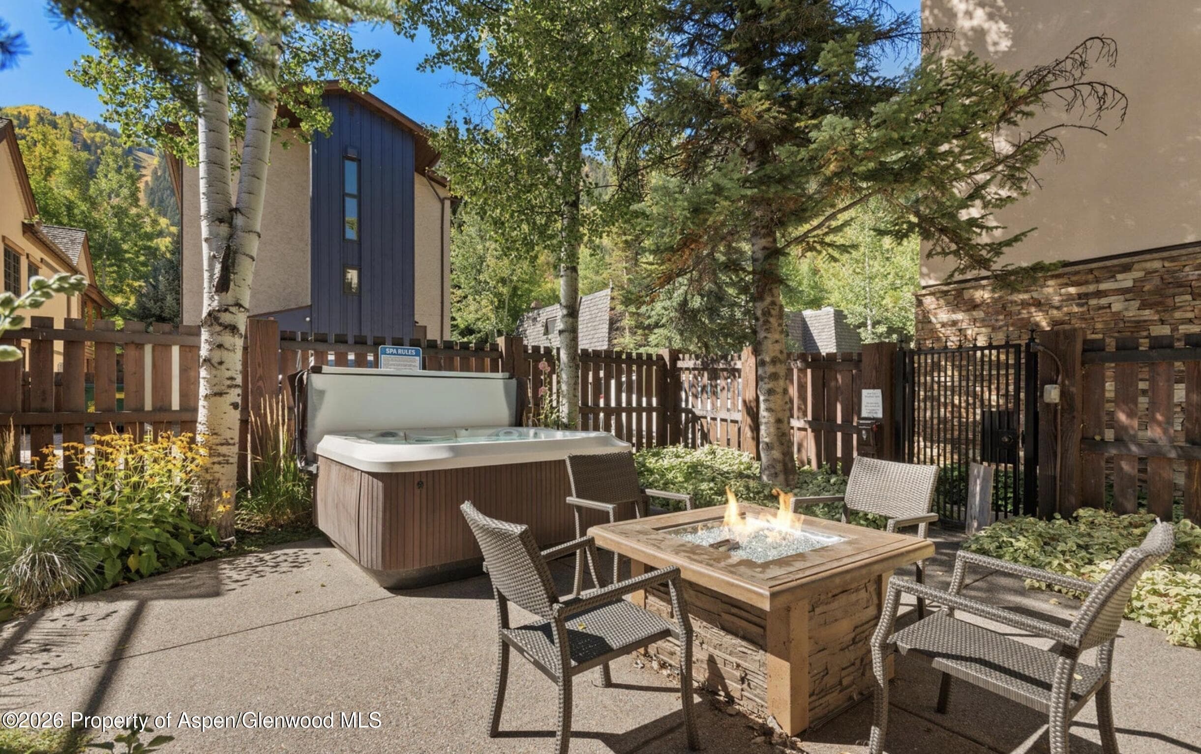 119 E Cooper Avenue 25, Aspen, CO 81611 - Photo 12