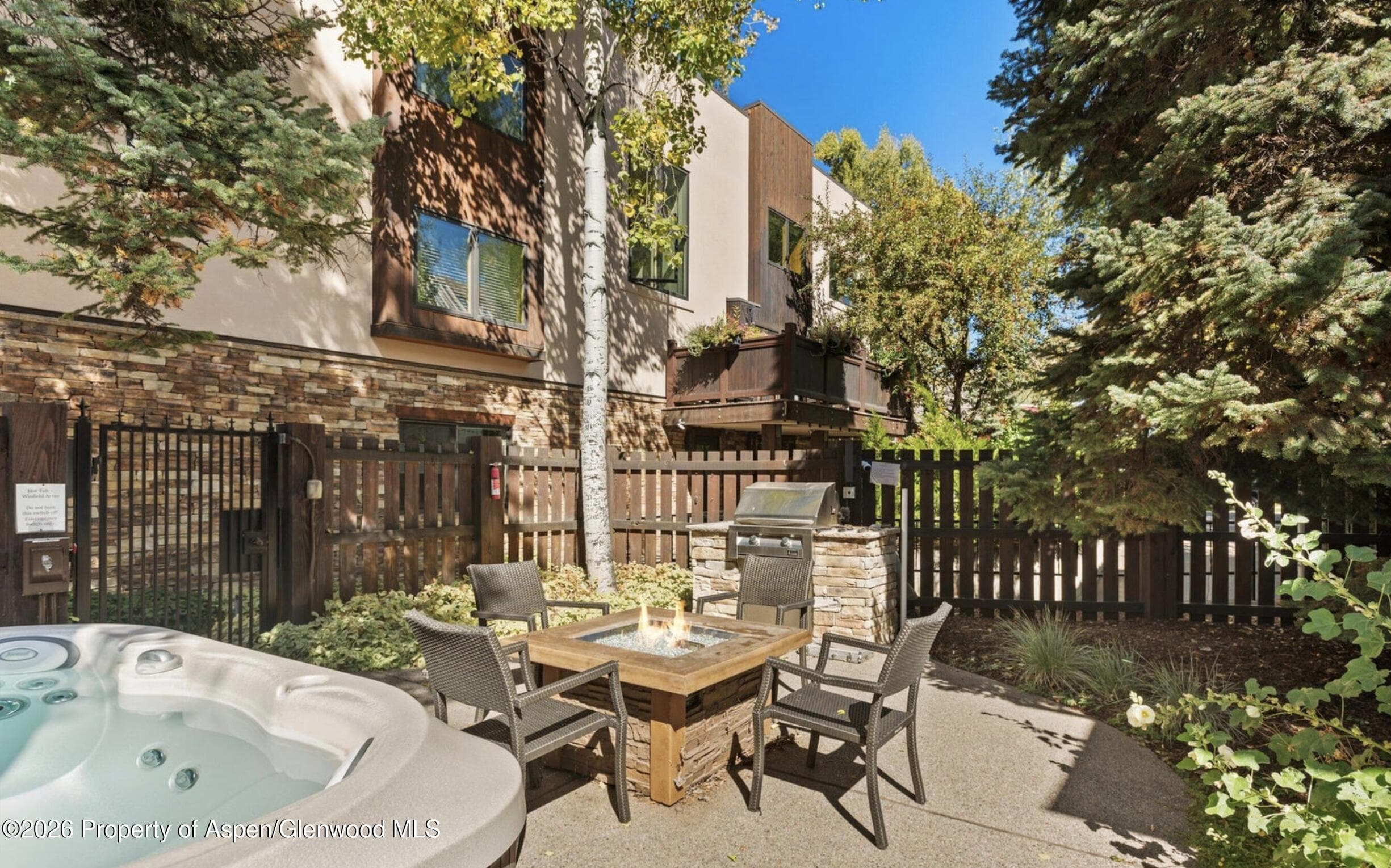 119 E Cooper Avenue 25, Aspen, CO 81611 - Photo 13