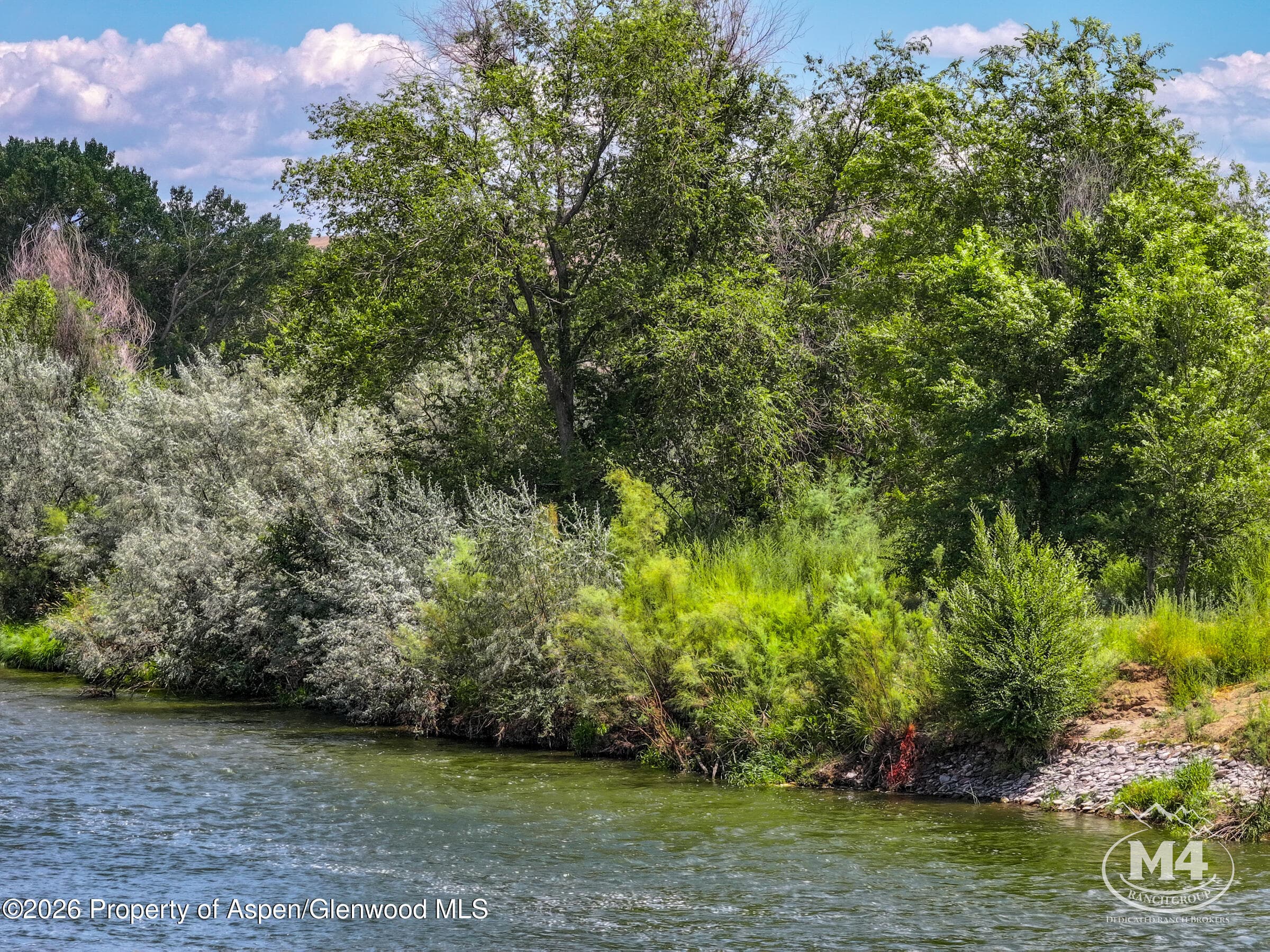 20987 Colorado 92, Delta, CO 81416 - Photo 10