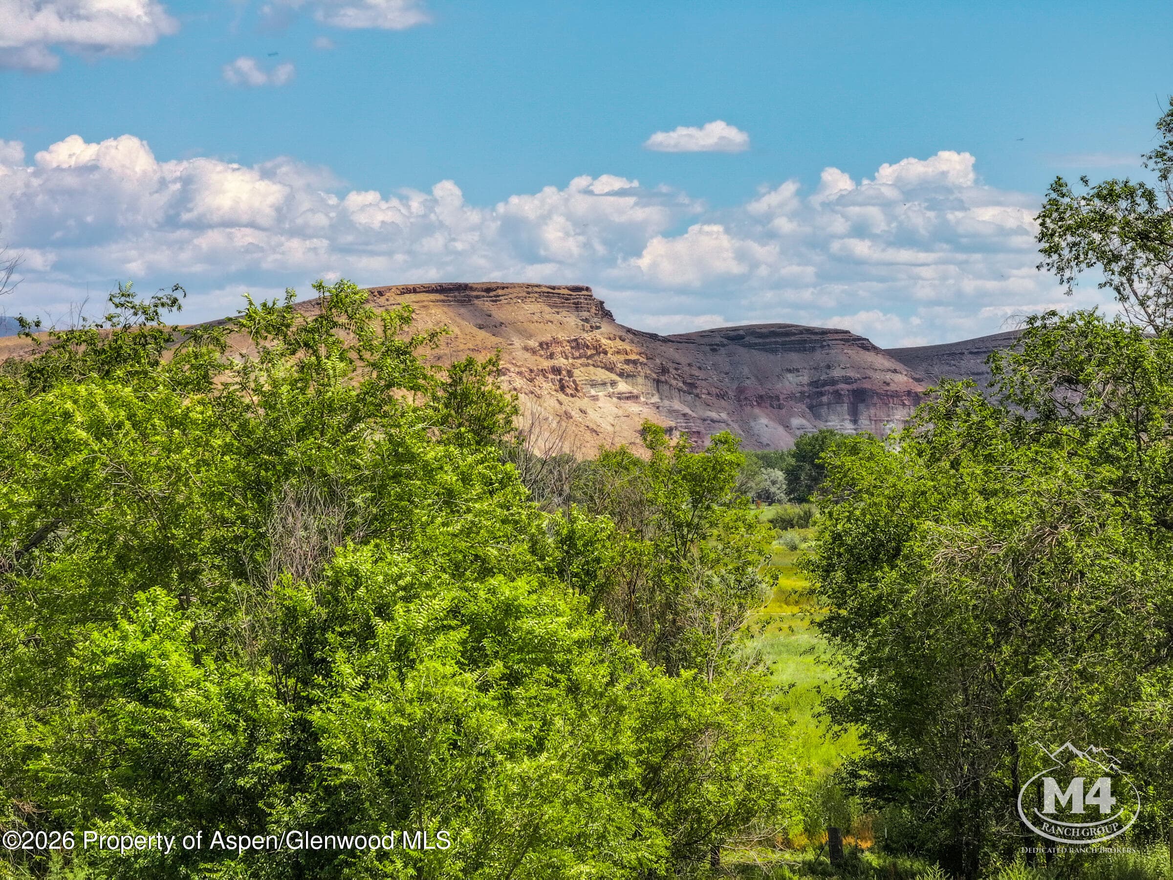 20987 Colorado 92, Delta, CO 81416 - Photo 13