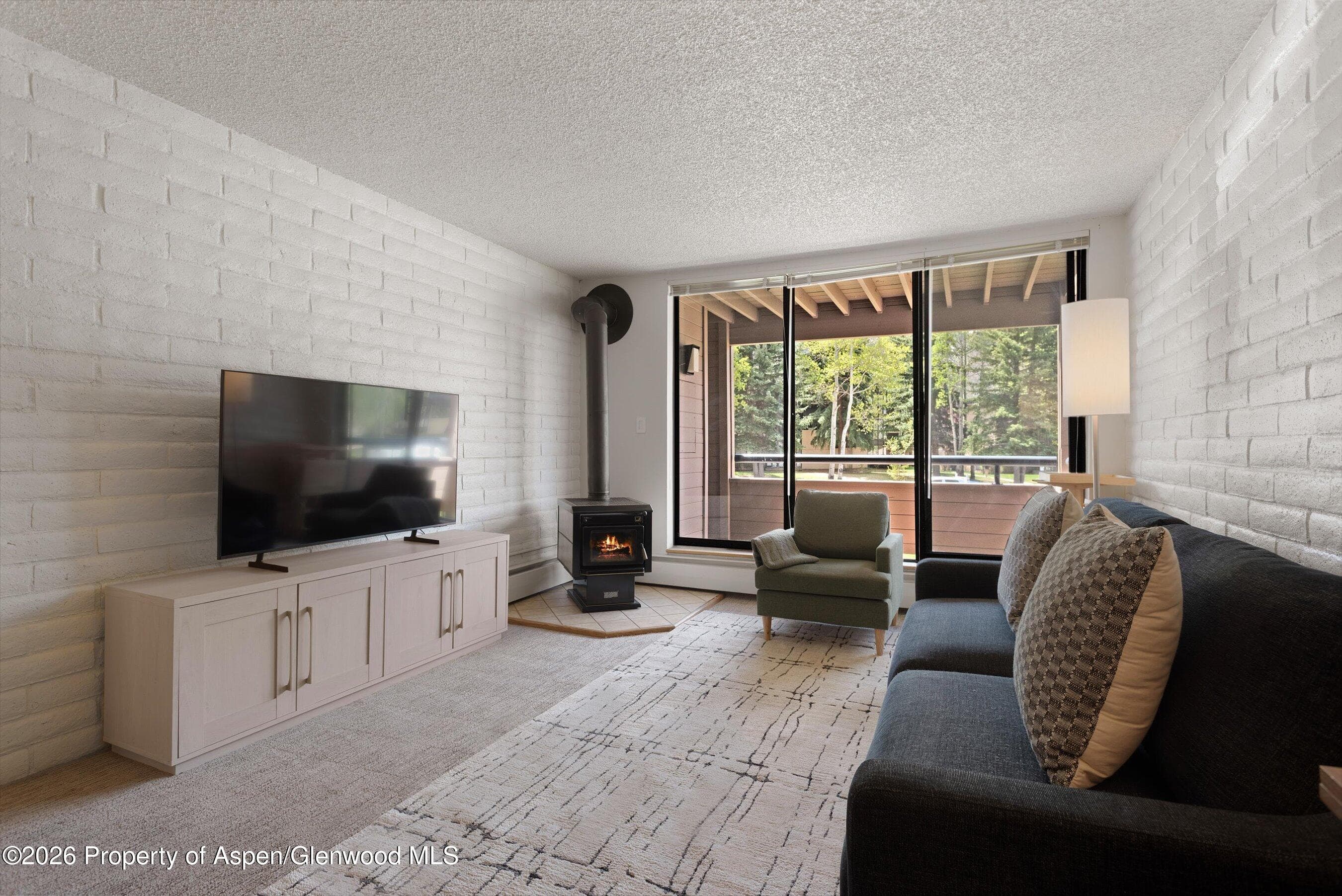 425 Vine Street 425, Aspen, CO 81611 - Photo 2