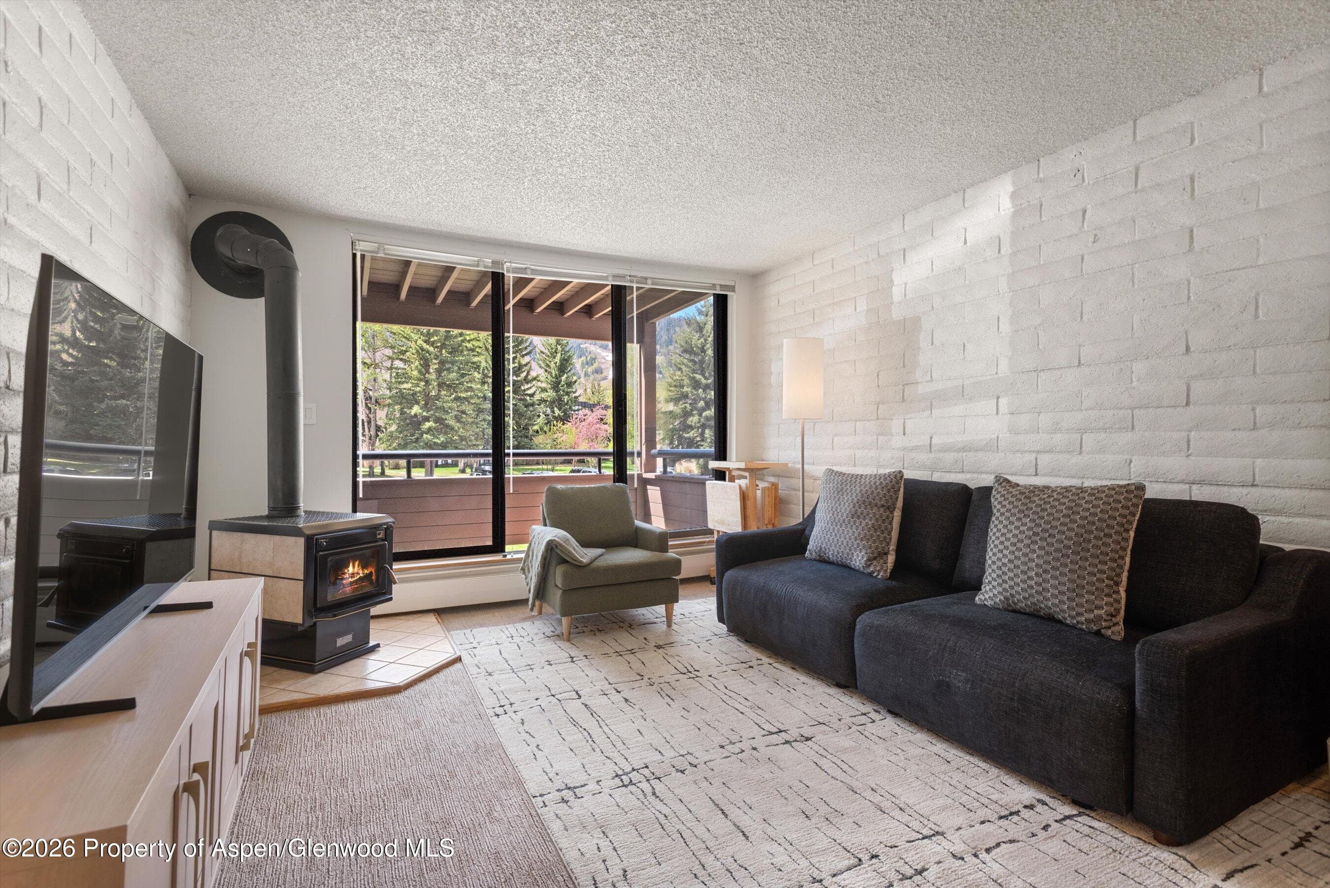 425 Vine Street 425, Aspen, CO 81611 - Photo 3