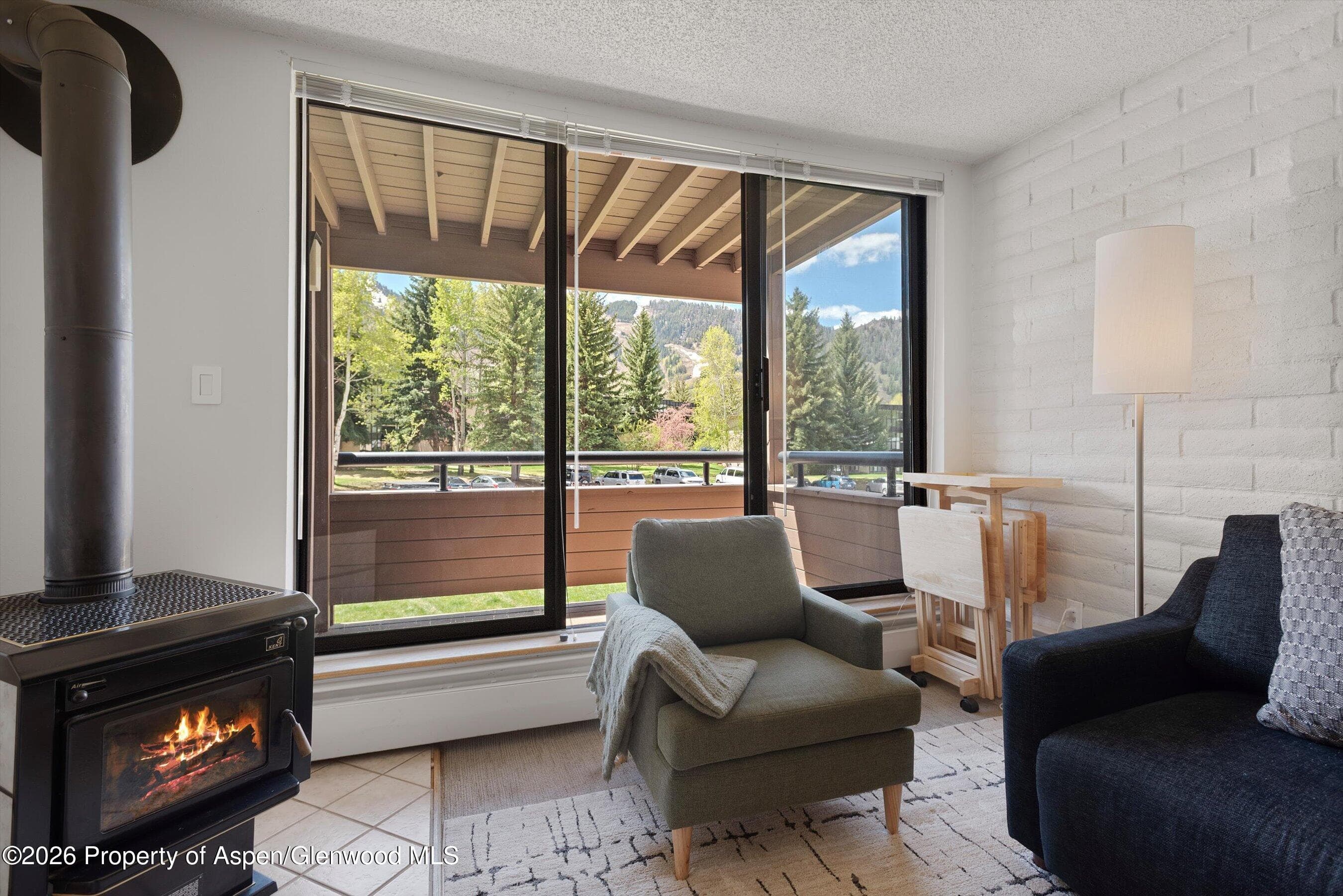 425 Vine Street 425, Aspen, CO 81611 - Photo 4