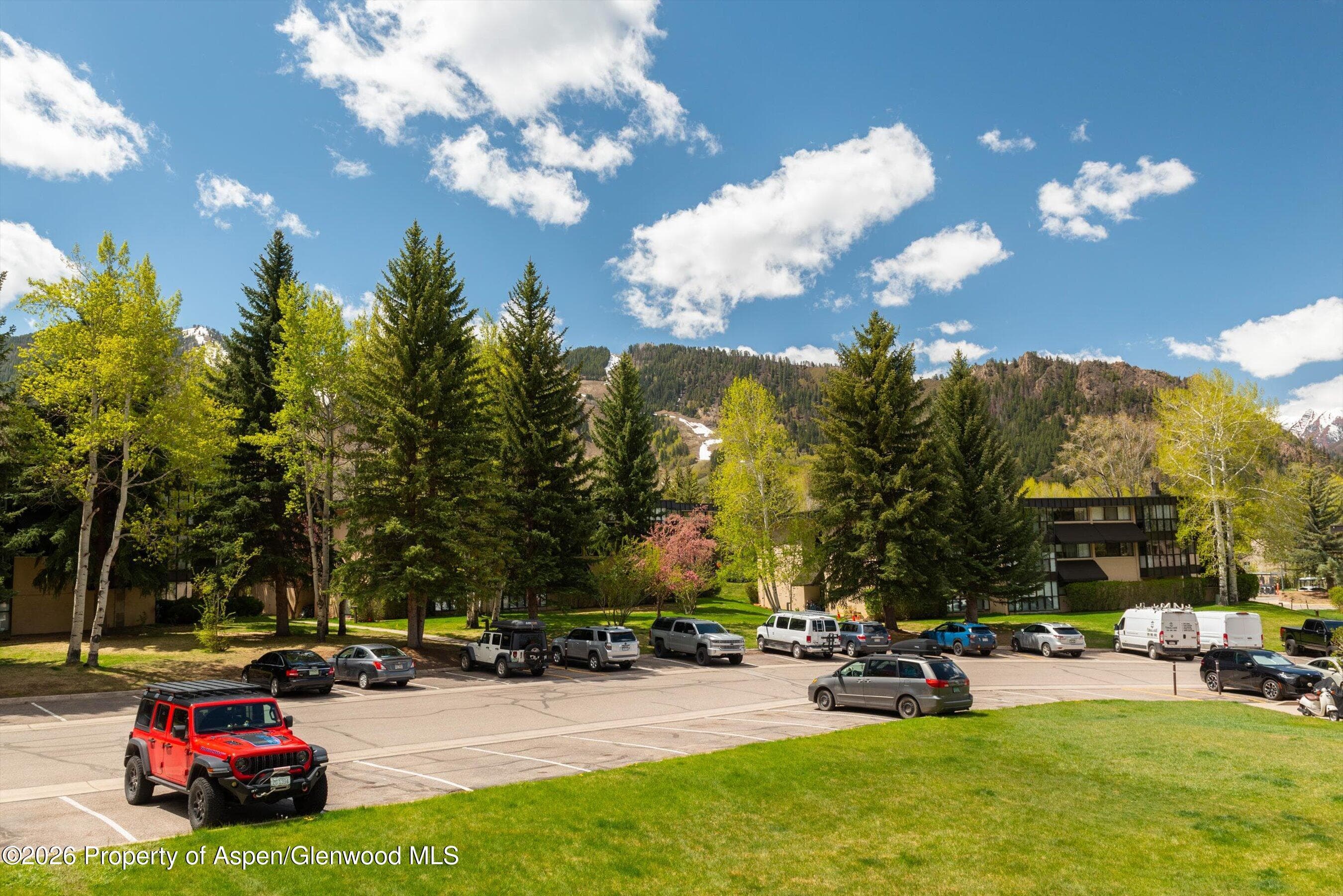 425 Vine Street 425, Aspen, CO 81611 - Photo 17