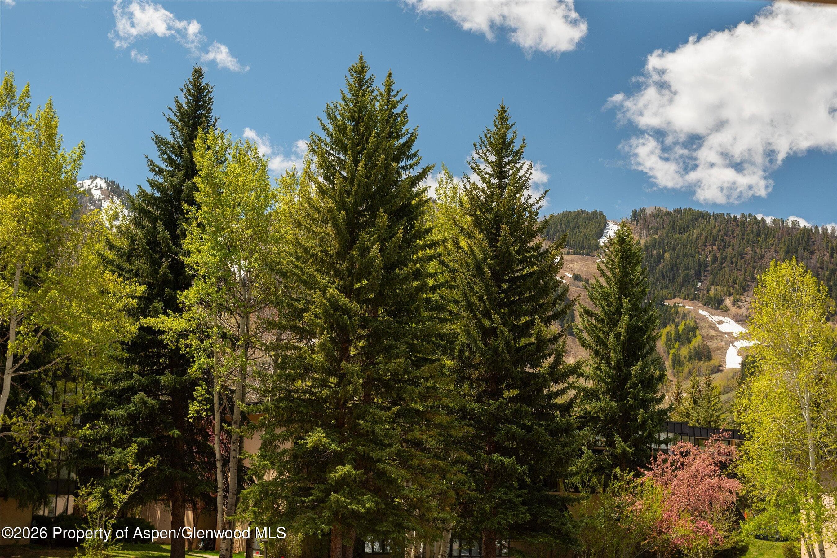 425 Vine Street 425, Aspen, CO 81611 - Photo 18
