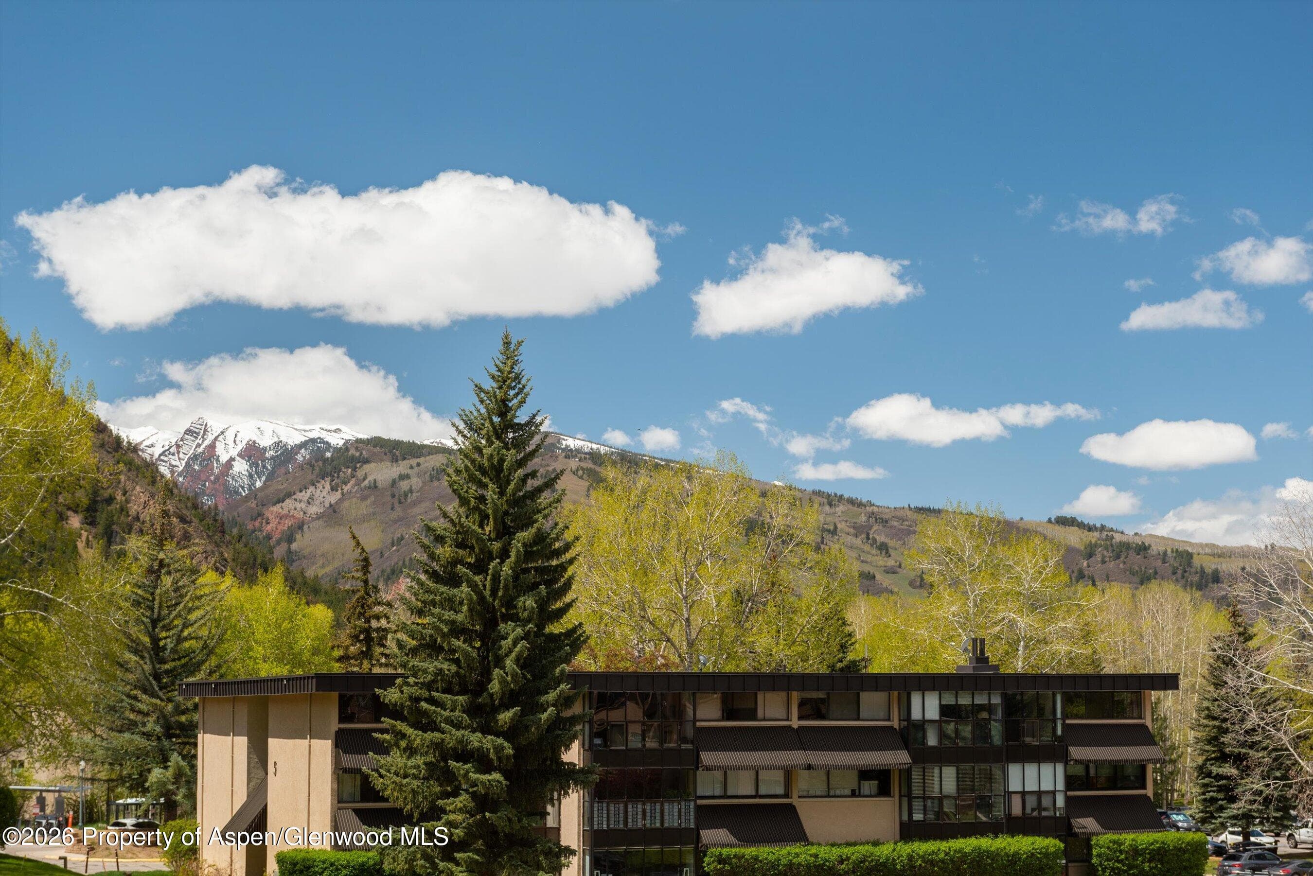 425 Vine Street 425, Aspen, CO 81611 - Photo 19