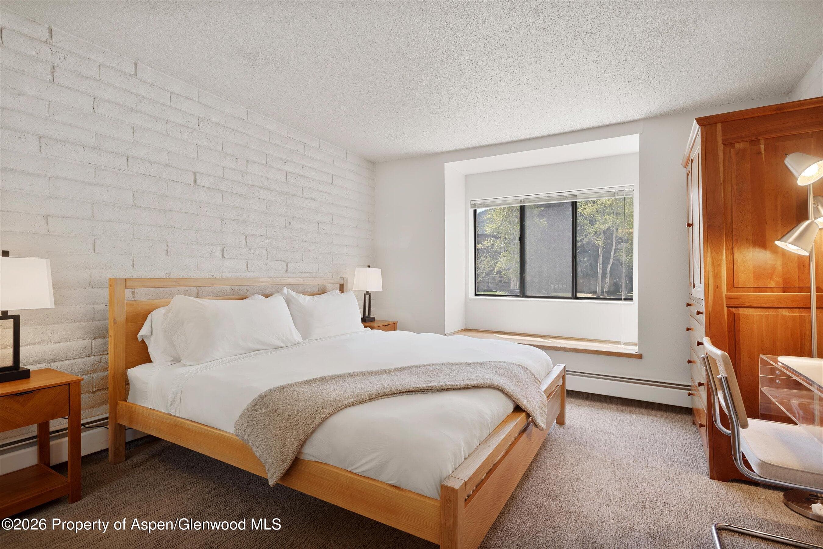 425 Vine Street 425, Aspen, CO 81611 - Photo 9