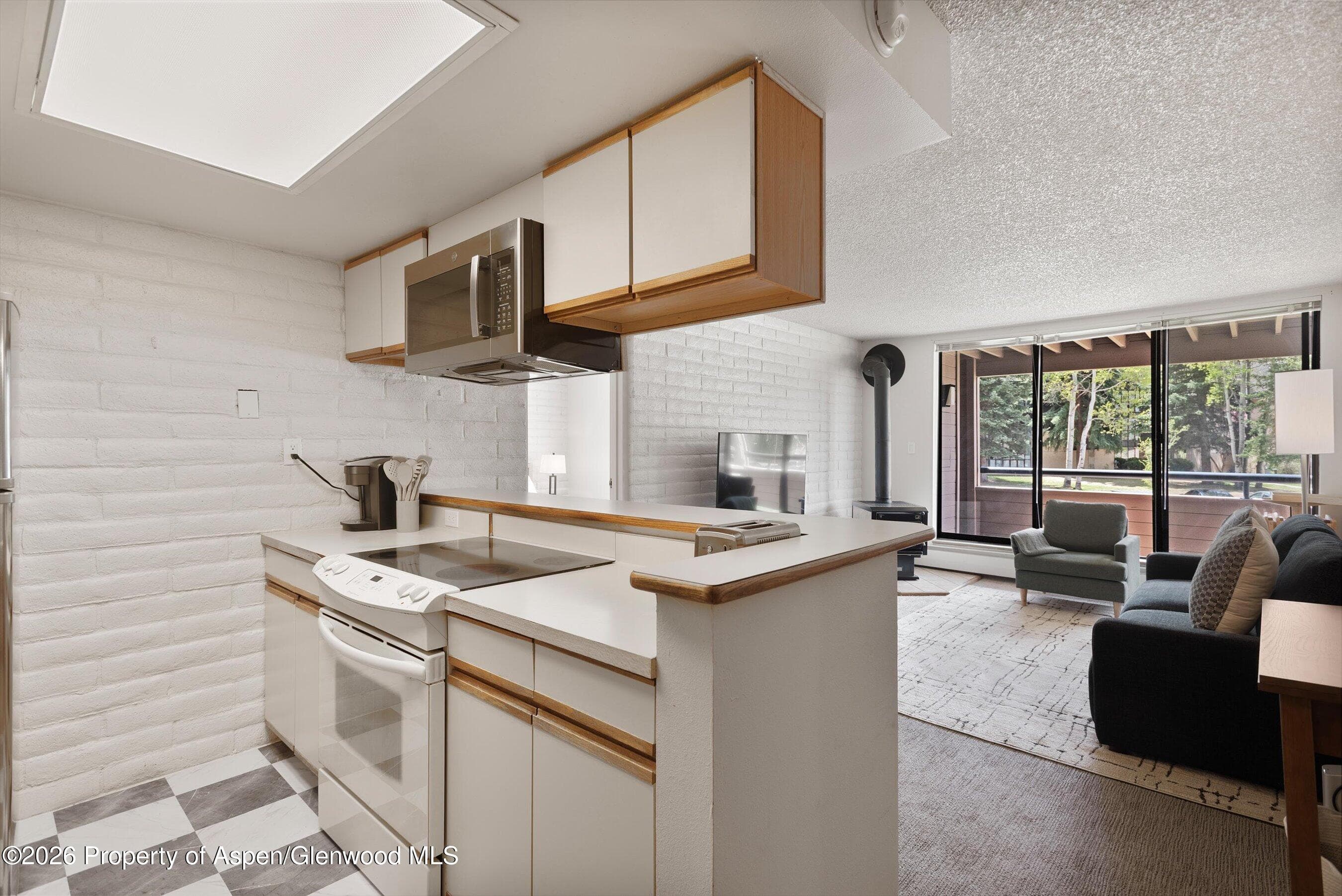 425 Vine Street 425, Aspen, CO 81611 - Photo 5