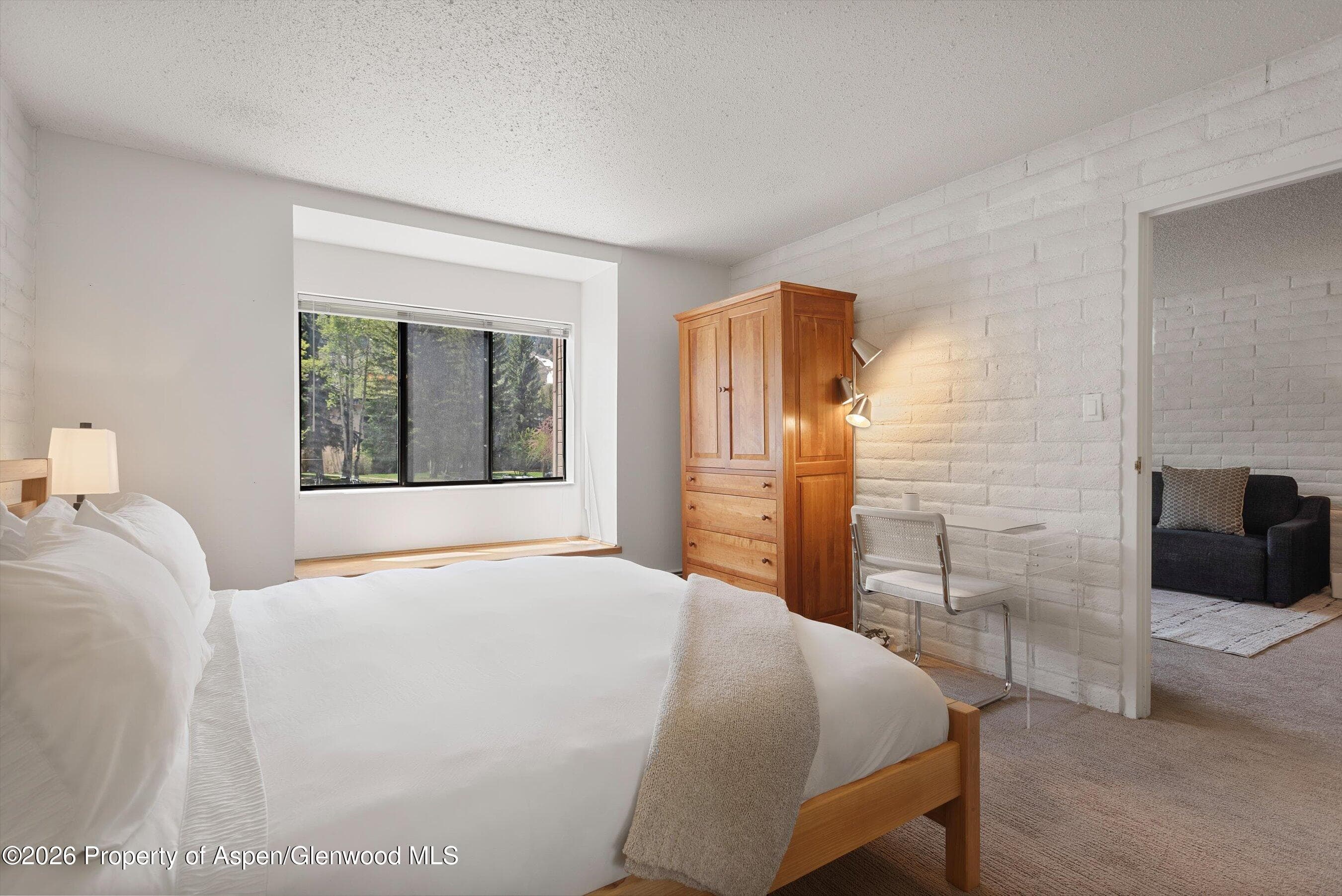 425 Vine Street 425, Aspen, CO 81611 - Photo 10