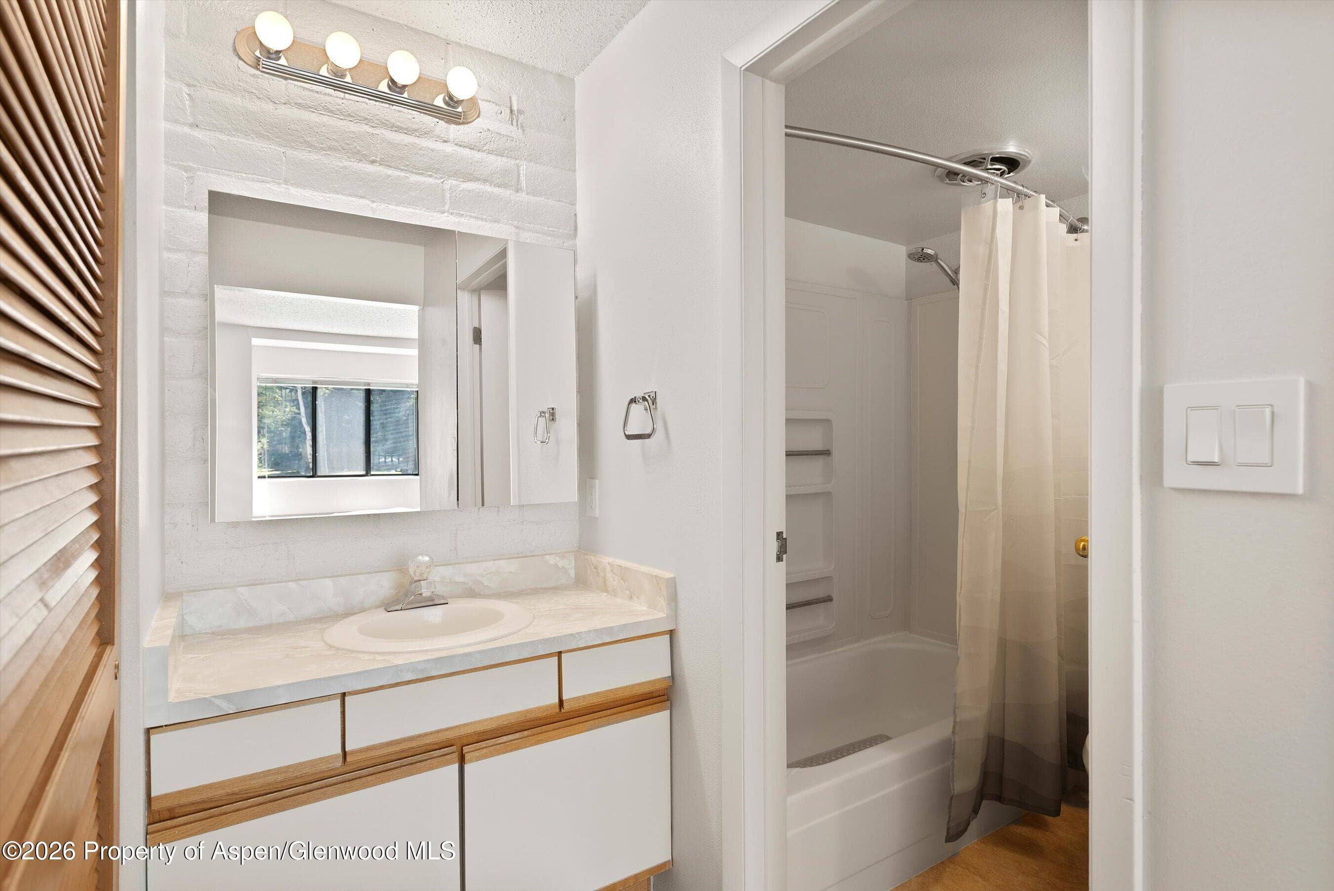 425 Vine Street 425, Aspen, CO 81611 - Photo 11