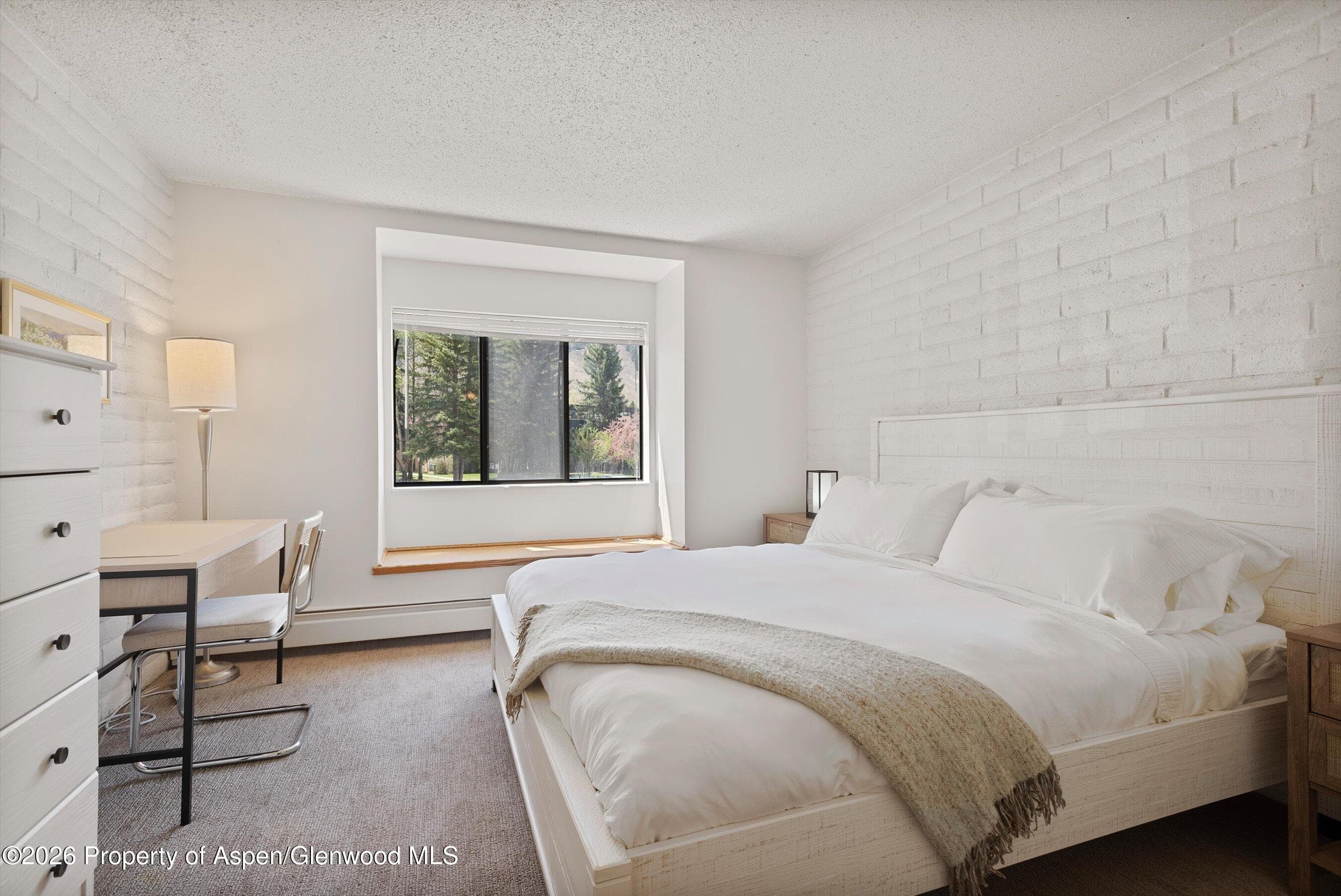 425 Vine Street 425, Aspen, CO 81611 - Photo 12