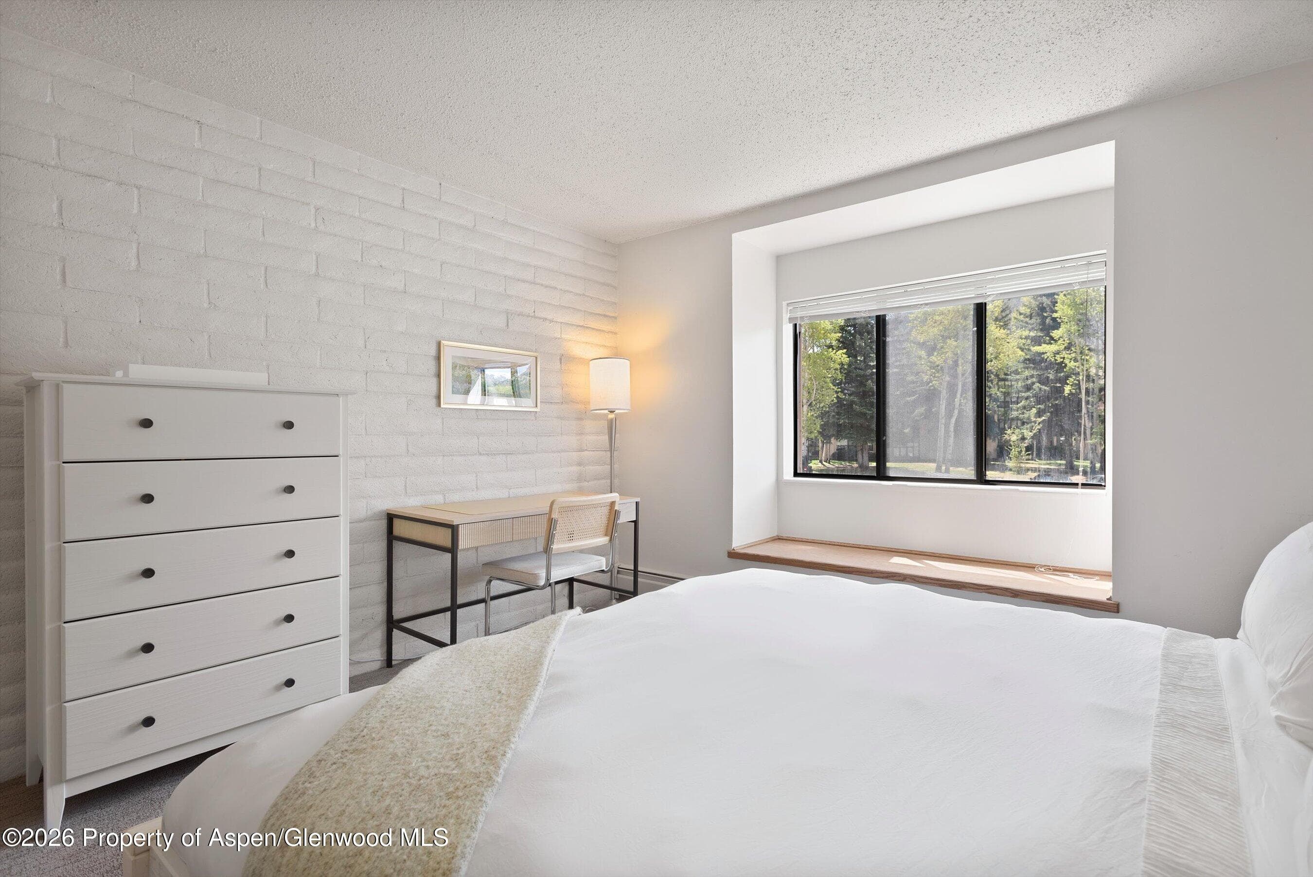 425 Vine Street 425, Aspen, CO 81611 - Photo 13