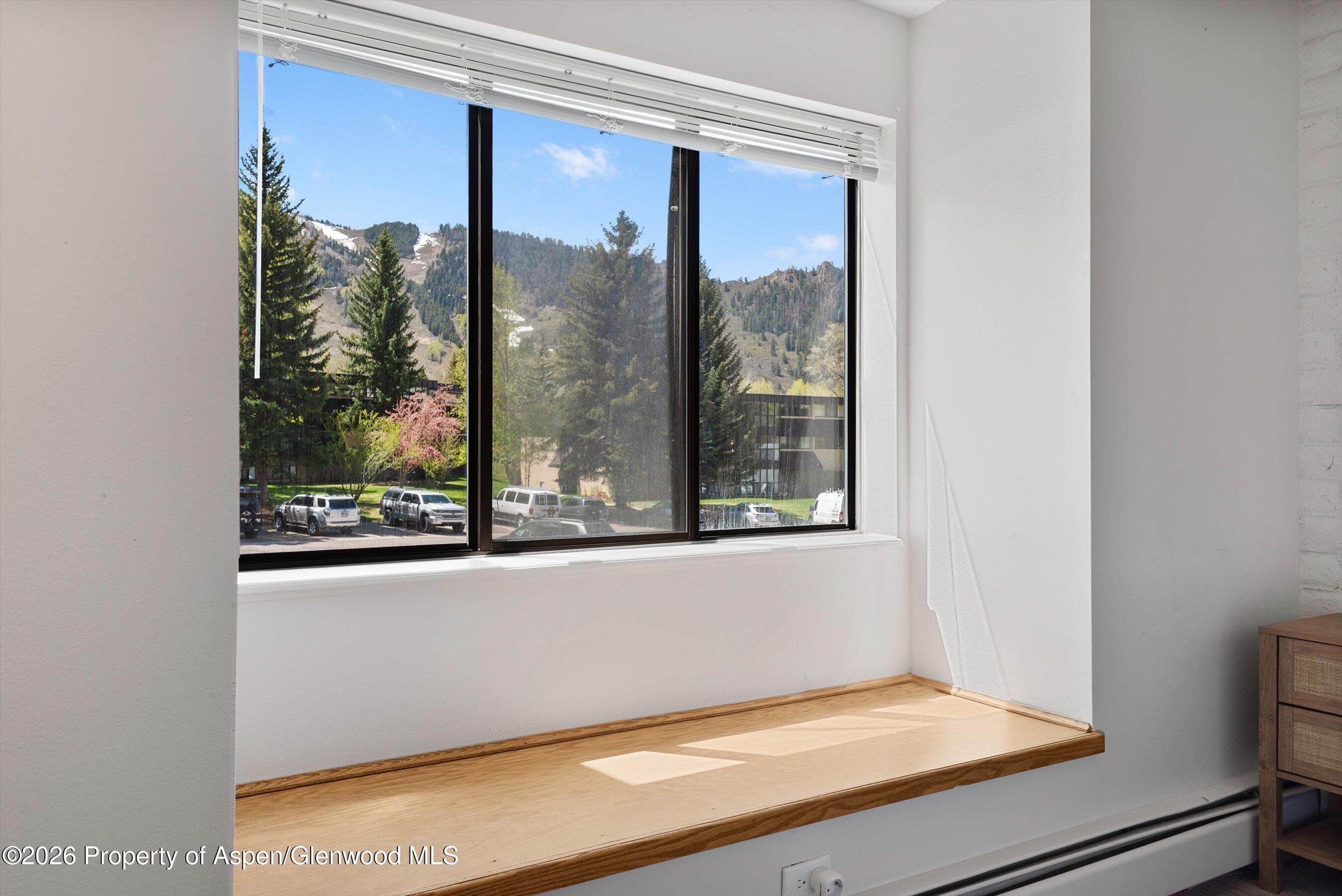 425 Vine Street 425, Aspen, CO 81611 - Photo 15