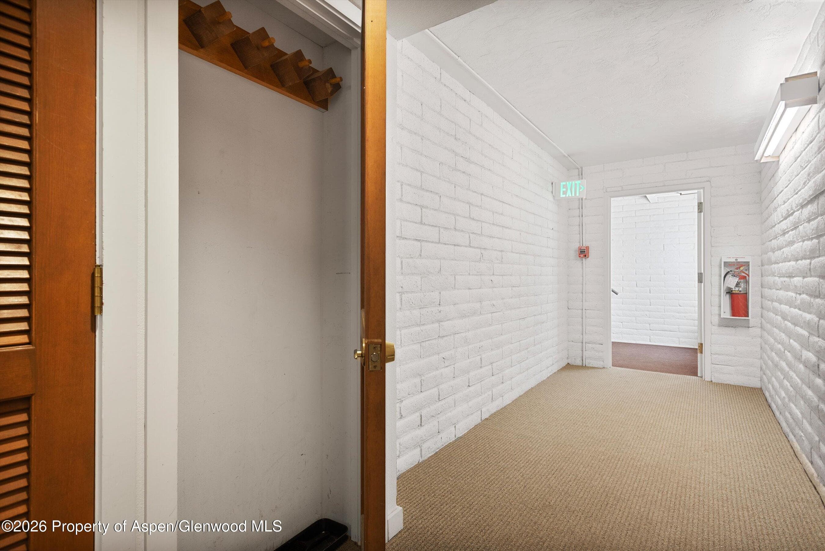 425 Vine Street 425, Aspen, CO 81611 - Photo 16
