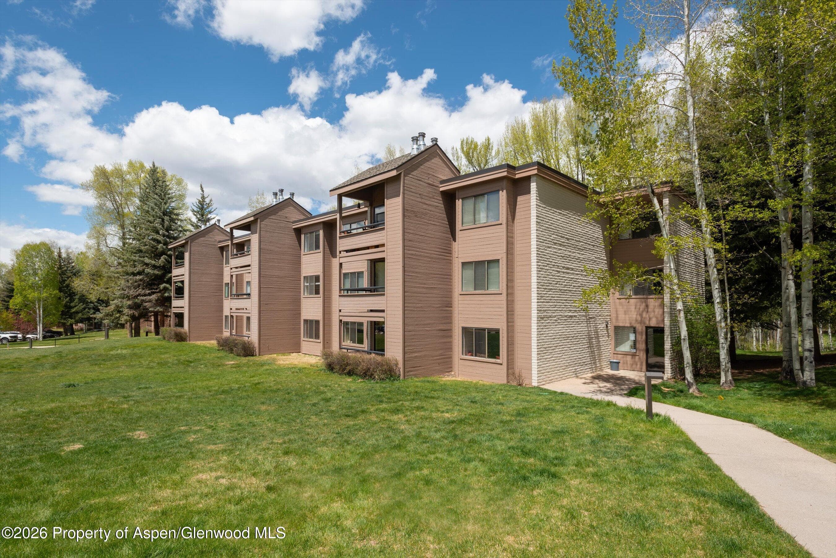 425 Vine Street 425, Aspen, CO 81611 - Photo 20
