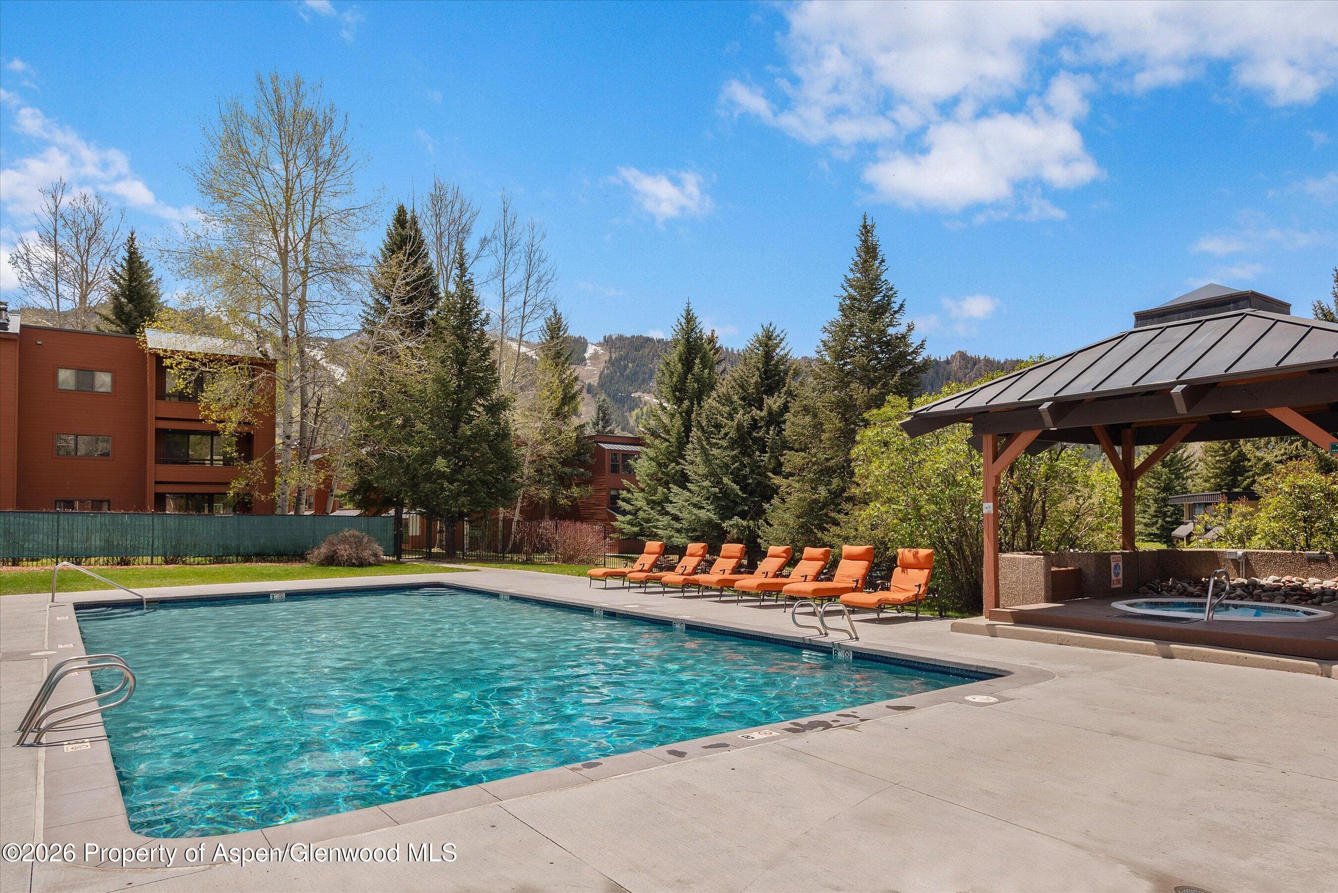 425 Vine Street 425, Aspen, CO 81611 - Photo 21