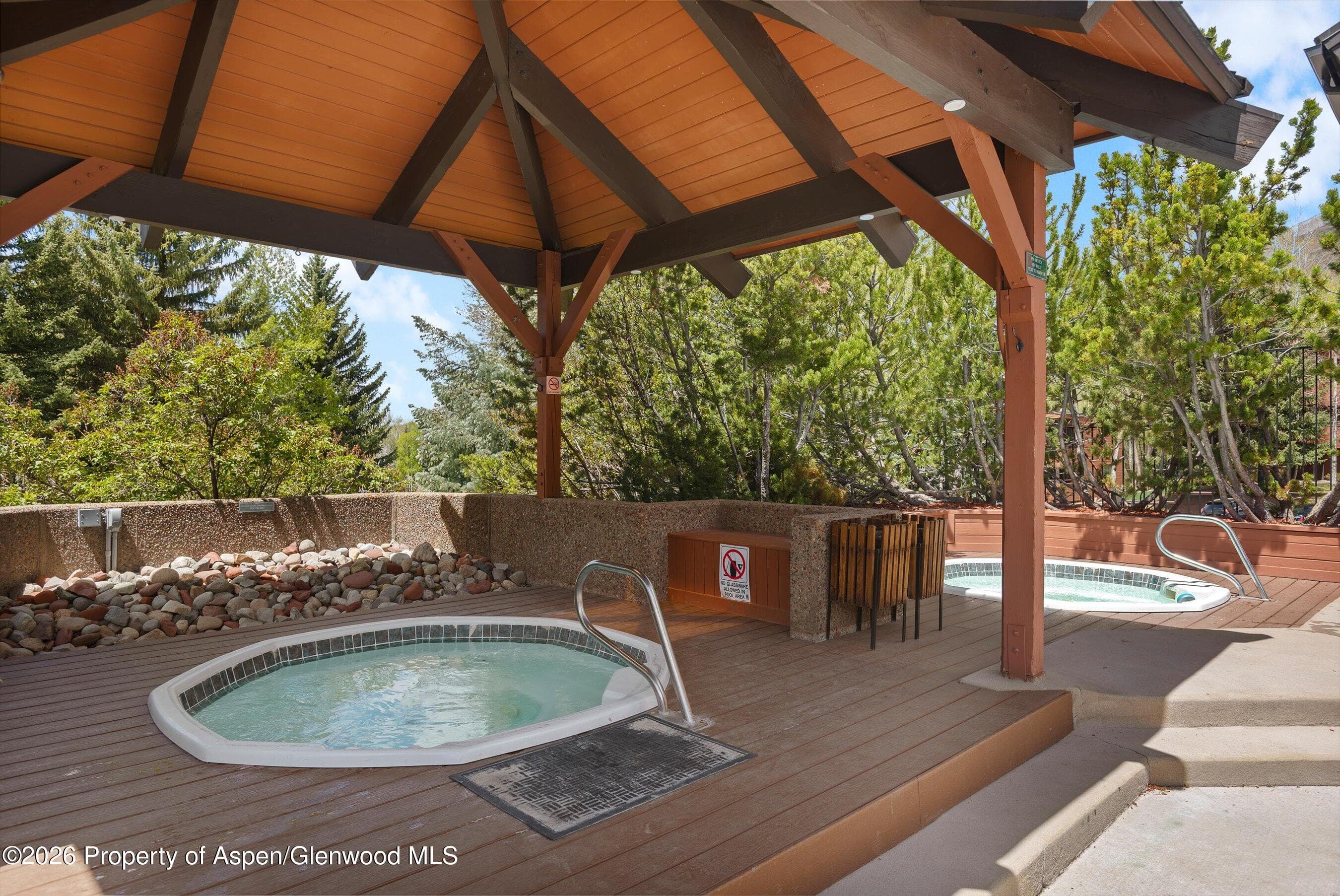 425 Vine Street 425, Aspen, CO 81611 - Photo 22