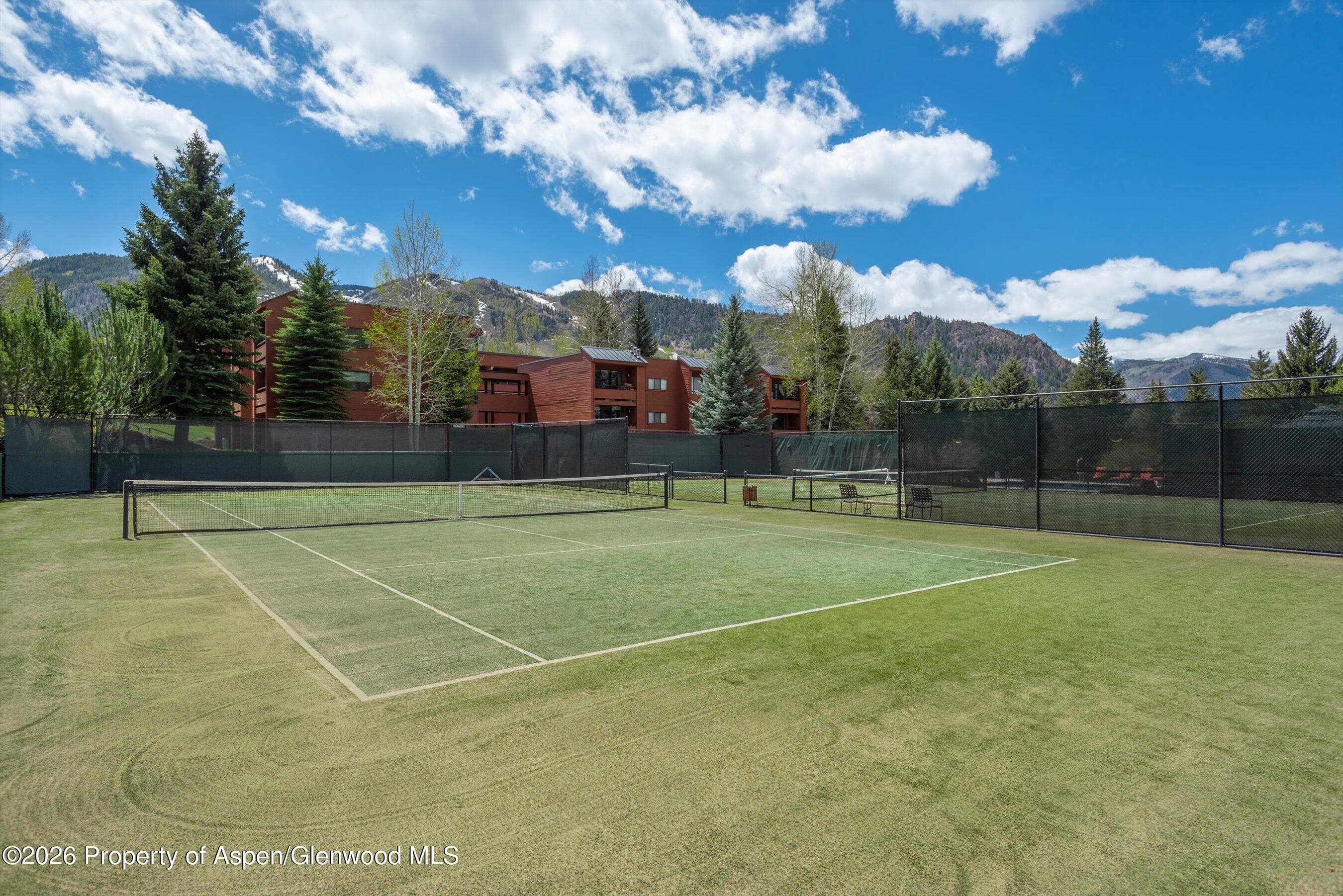 425 Vine Street 425, Aspen, CO 81611 - Photo 23