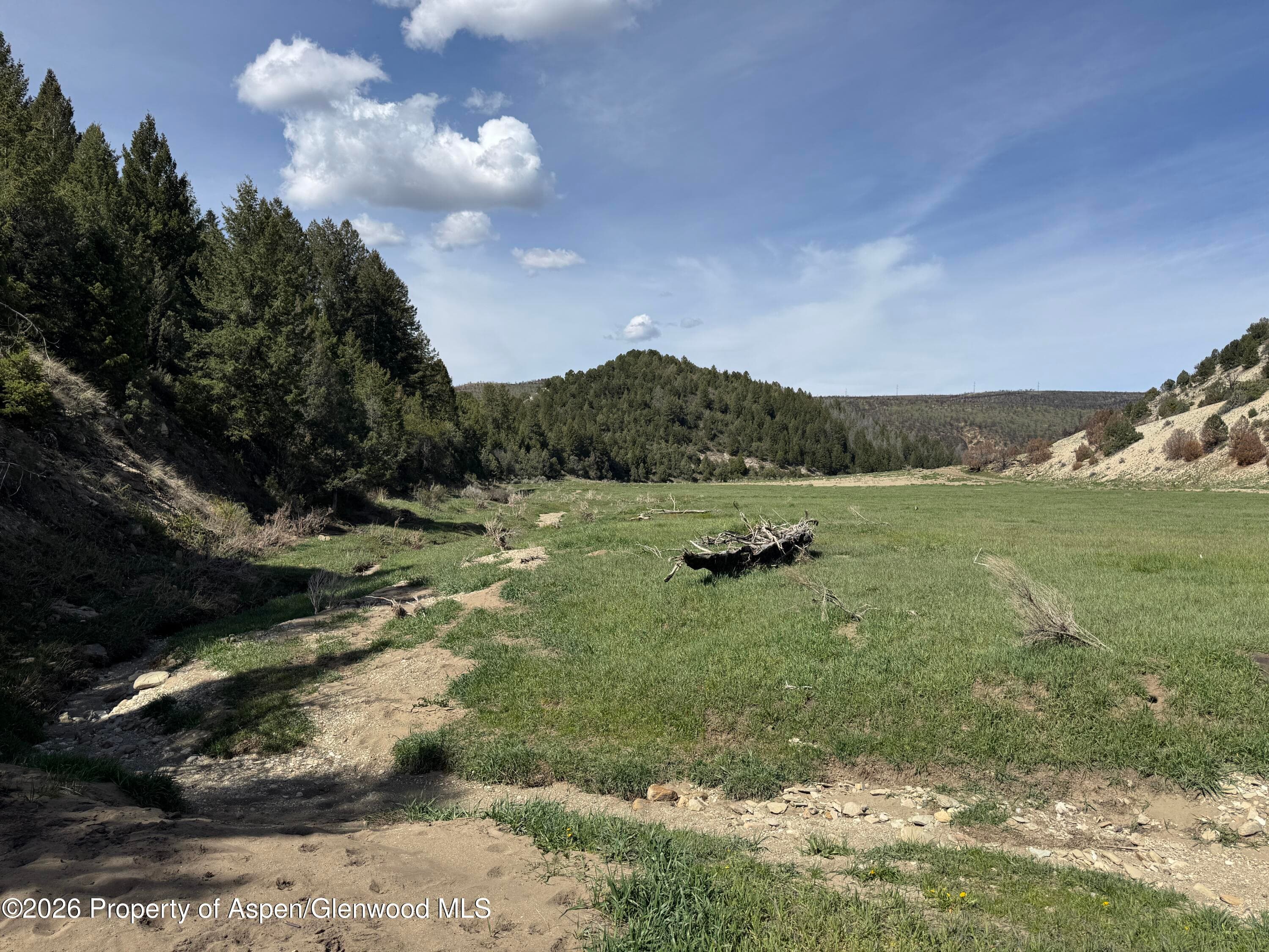 65061 Highway 64, Meeker, CO 81641 - Photo 42