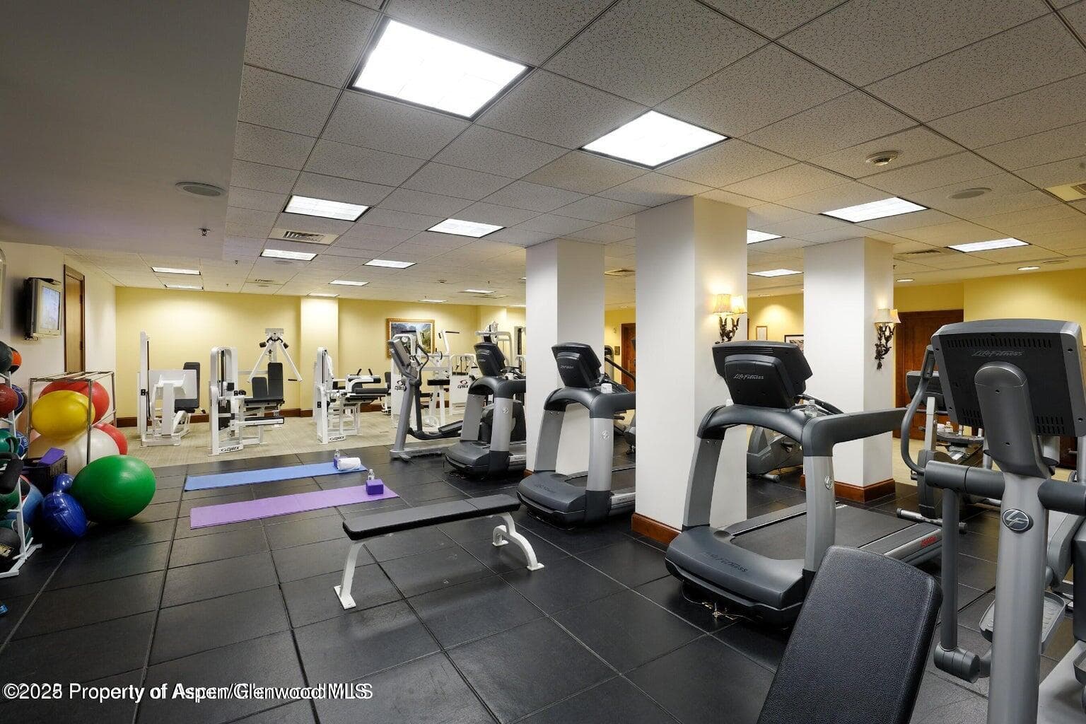 39 Boomerang Road 8311-9, Aspen, CO 81611 - Photo 9