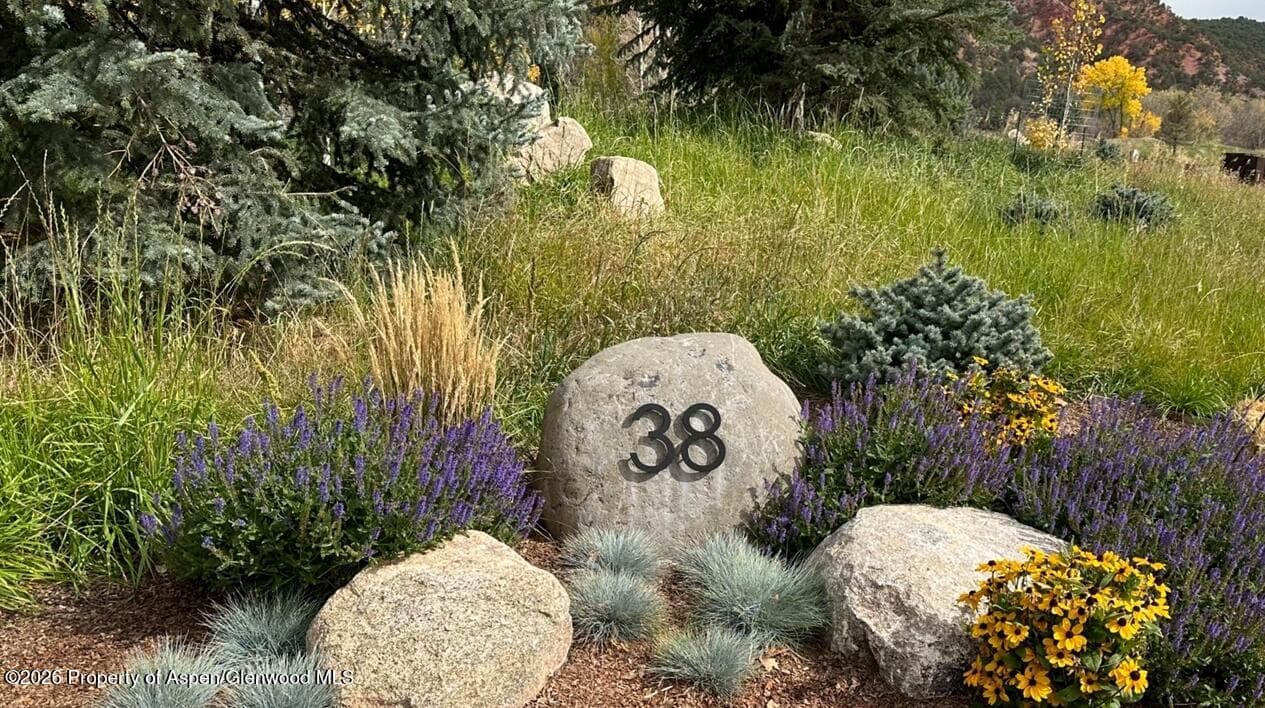 38 E Diamond A Ranch Road, Carbondale, CO 81623 - Photo 20