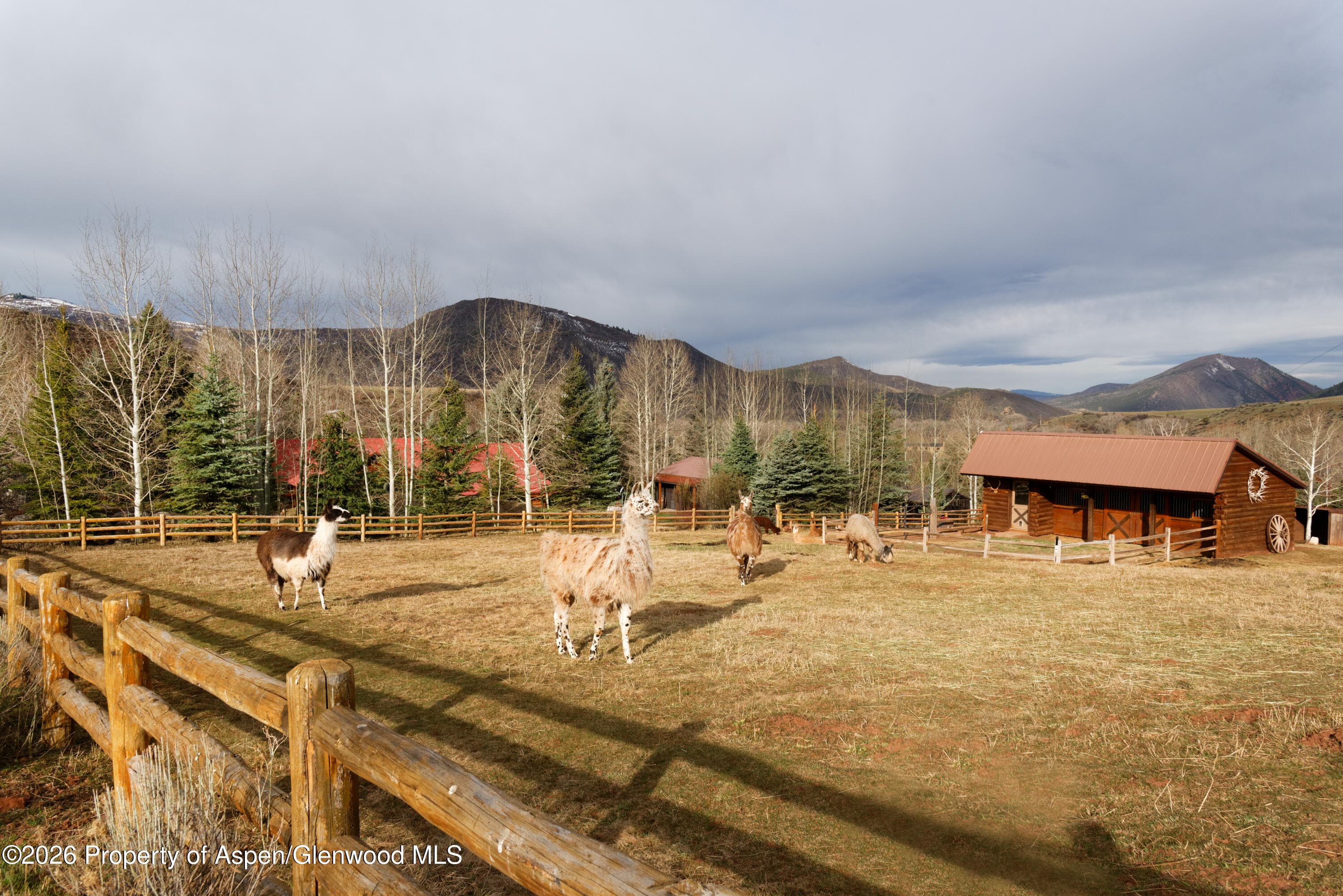 1214 Woody Creek Road, Woody Creek, CO 81656 - Photo 33