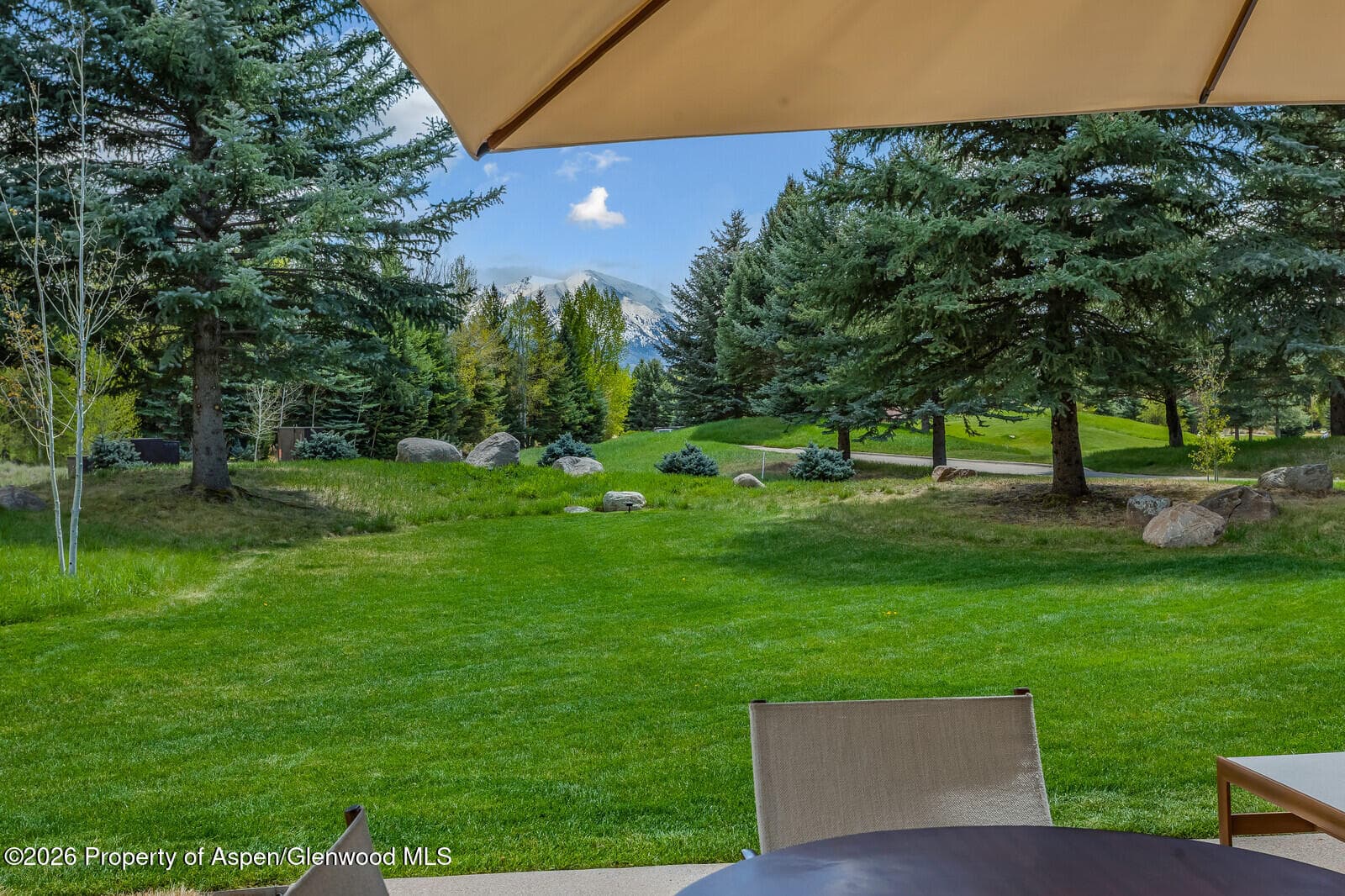 38 E Diamond A Ranch Road, Carbondale, CO 81623 - Photo 109
