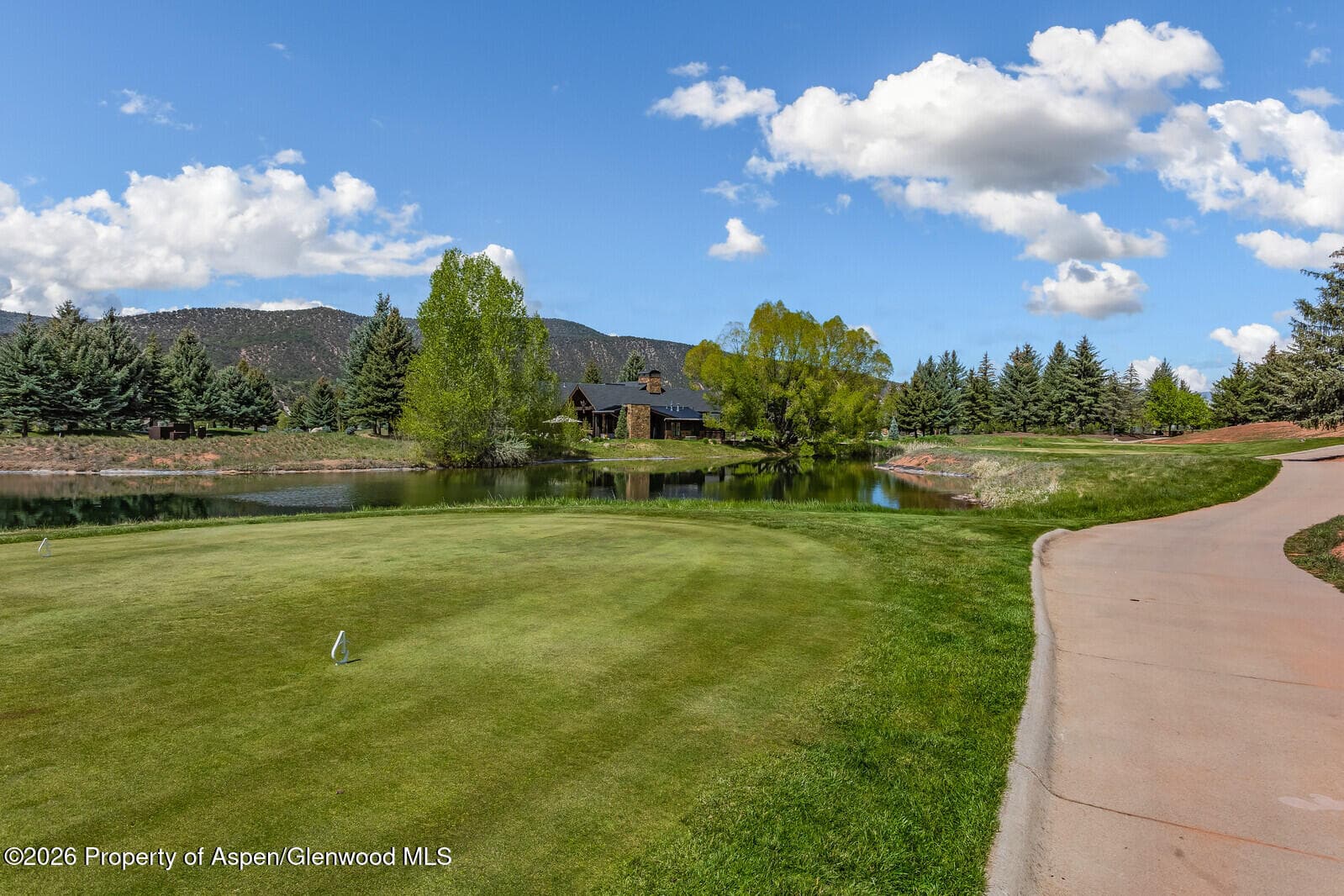 38 E Diamond A Ranch Road, Carbondale, CO 81623 - Photo 121