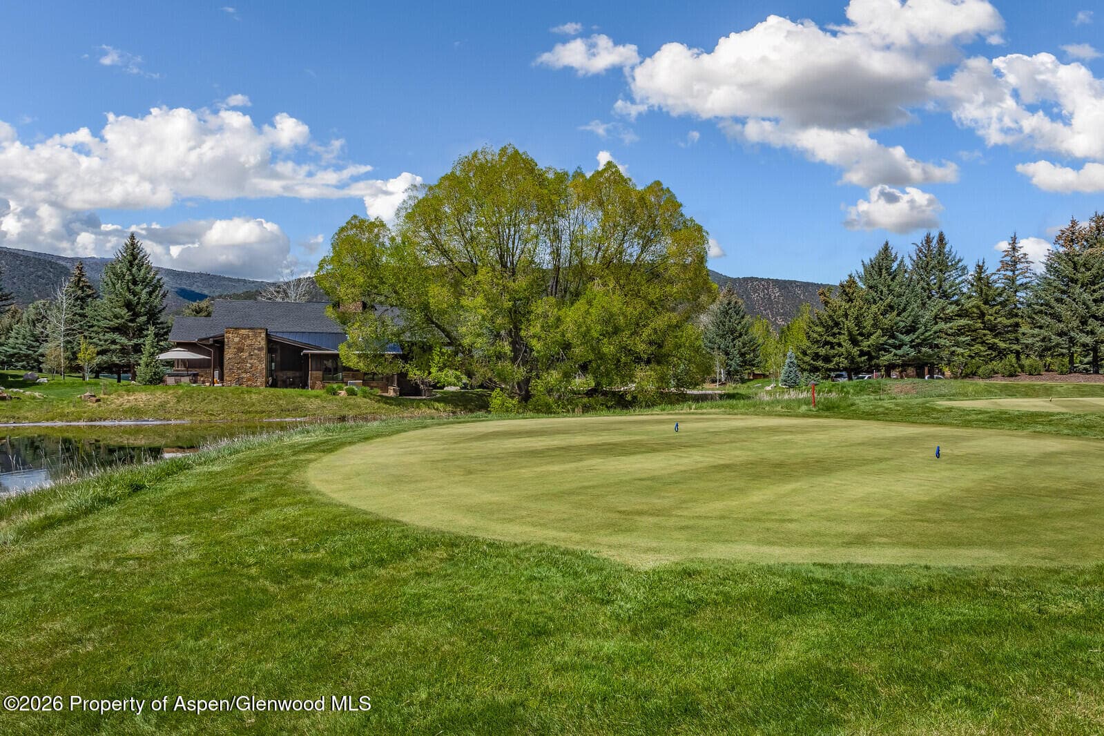 38 E Diamond A Ranch Road, Carbondale, CO 81623 - Photo 122
